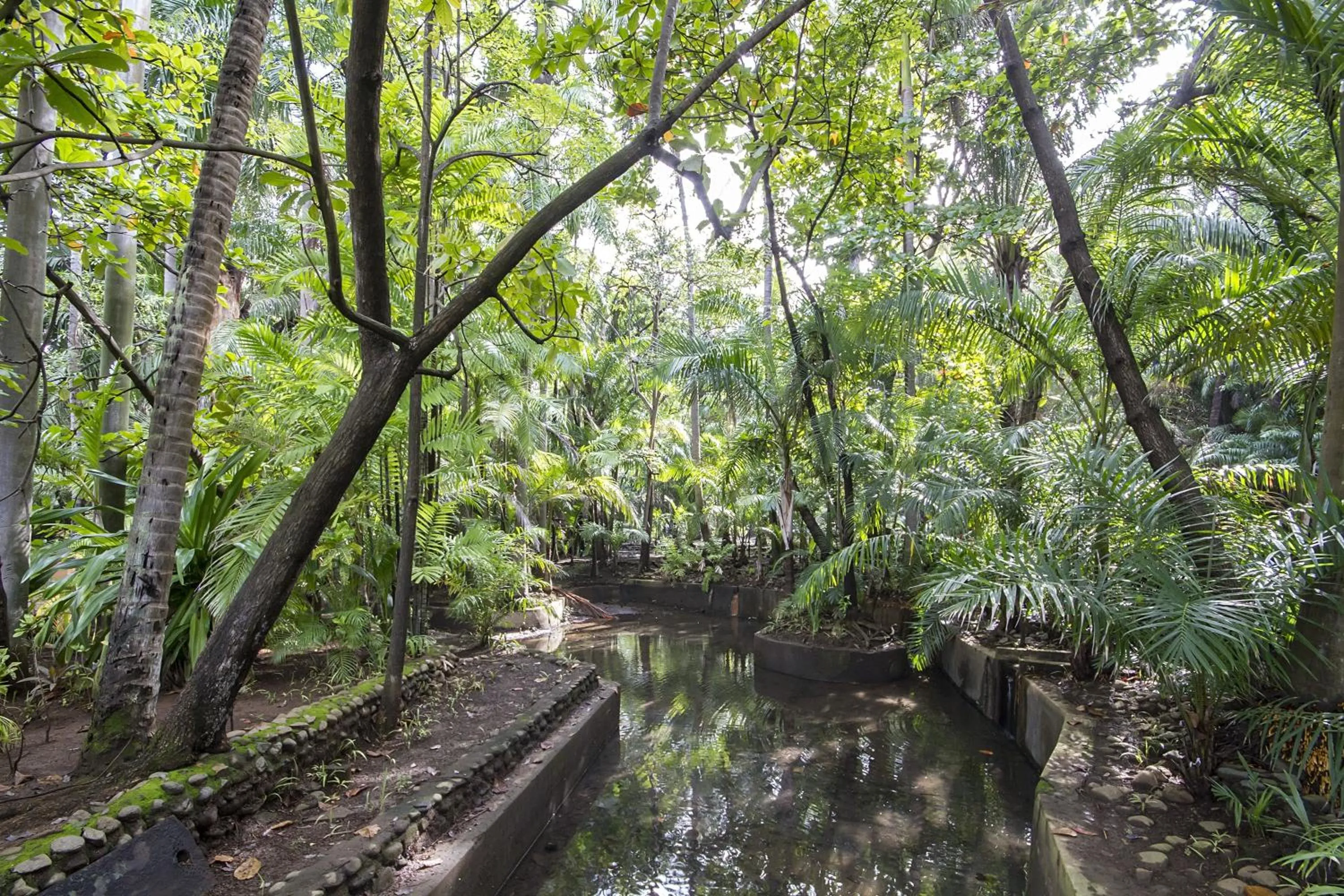 Natural landscape in Barceló Montelimar All Inclusive