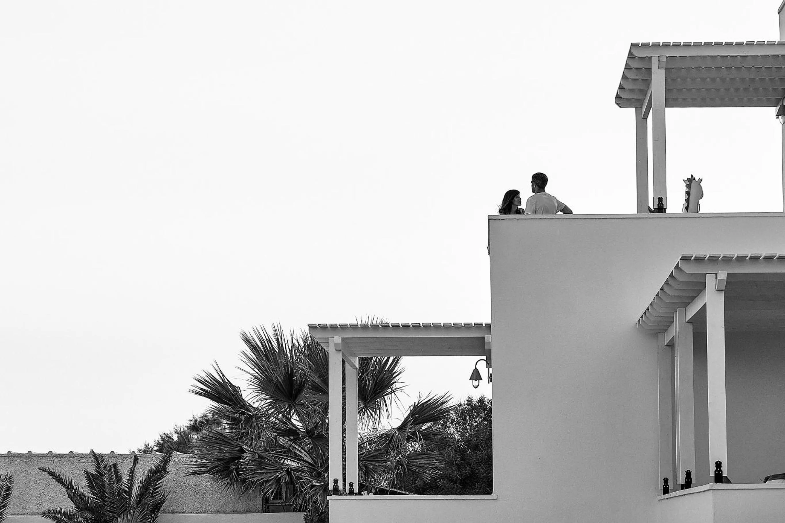 Garden in Petri Suites