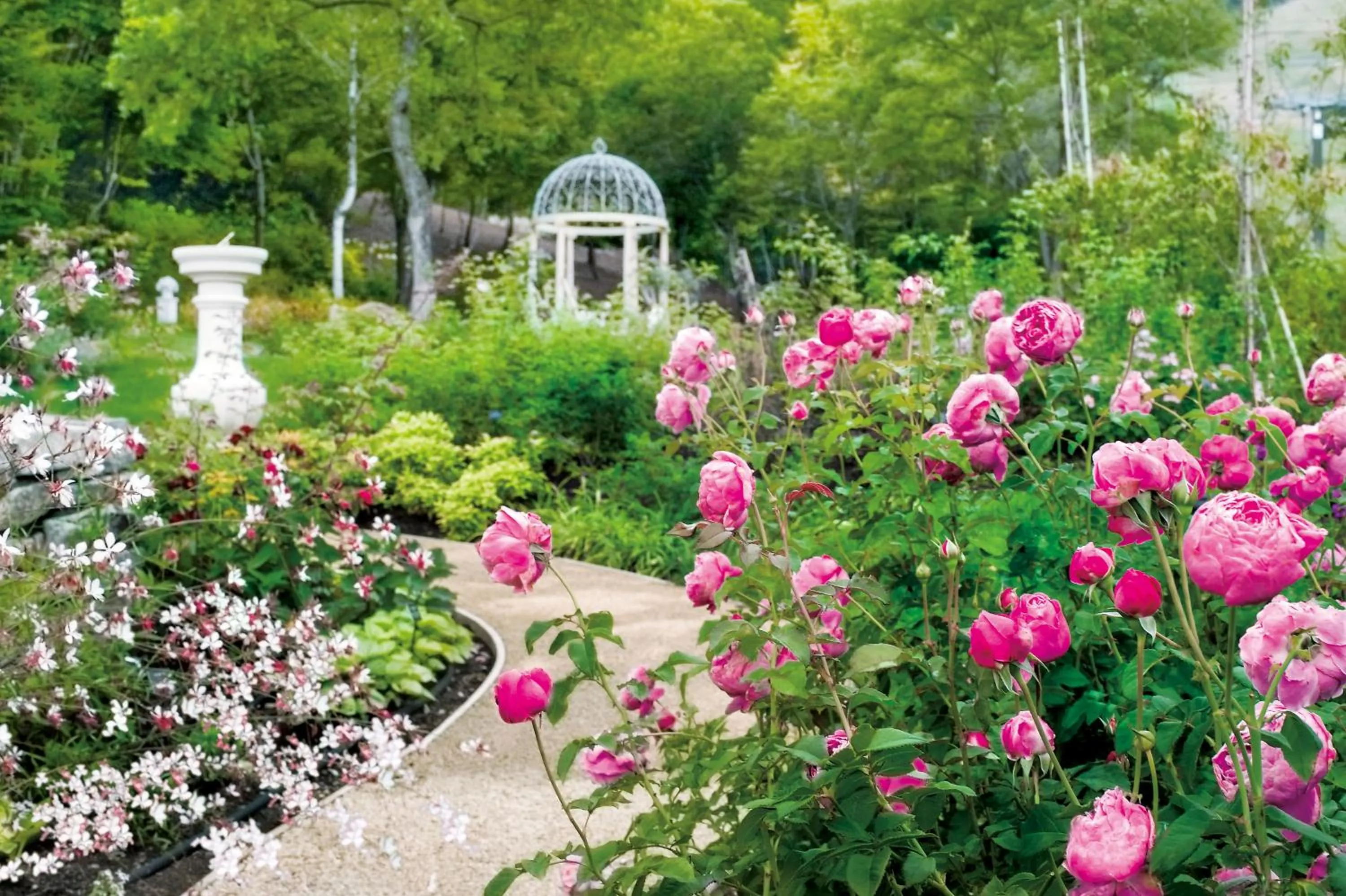 Natural landscape in Hotel Green Plaza Hakuba