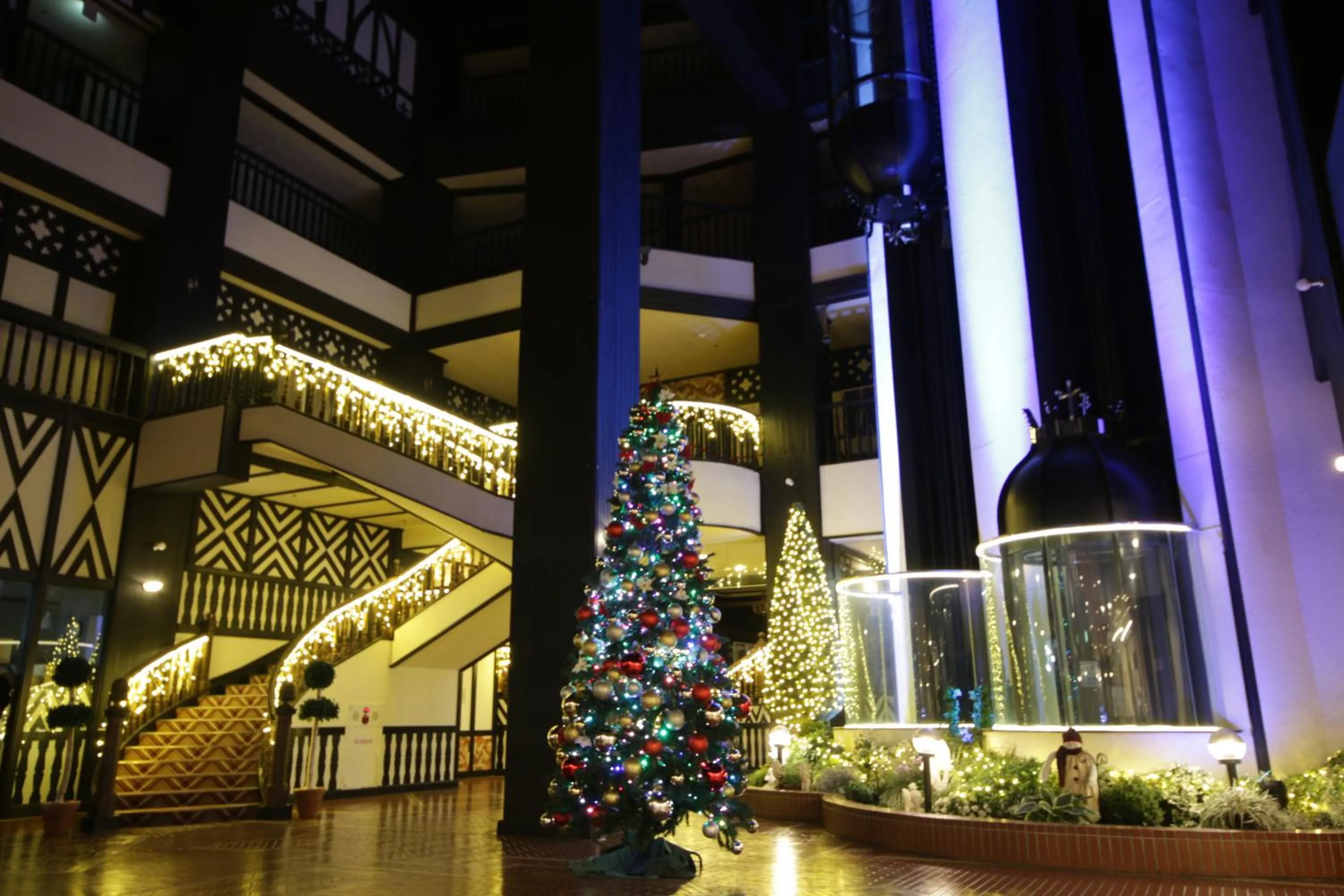 Lobby or reception in Hotel Green Plaza Hakuba