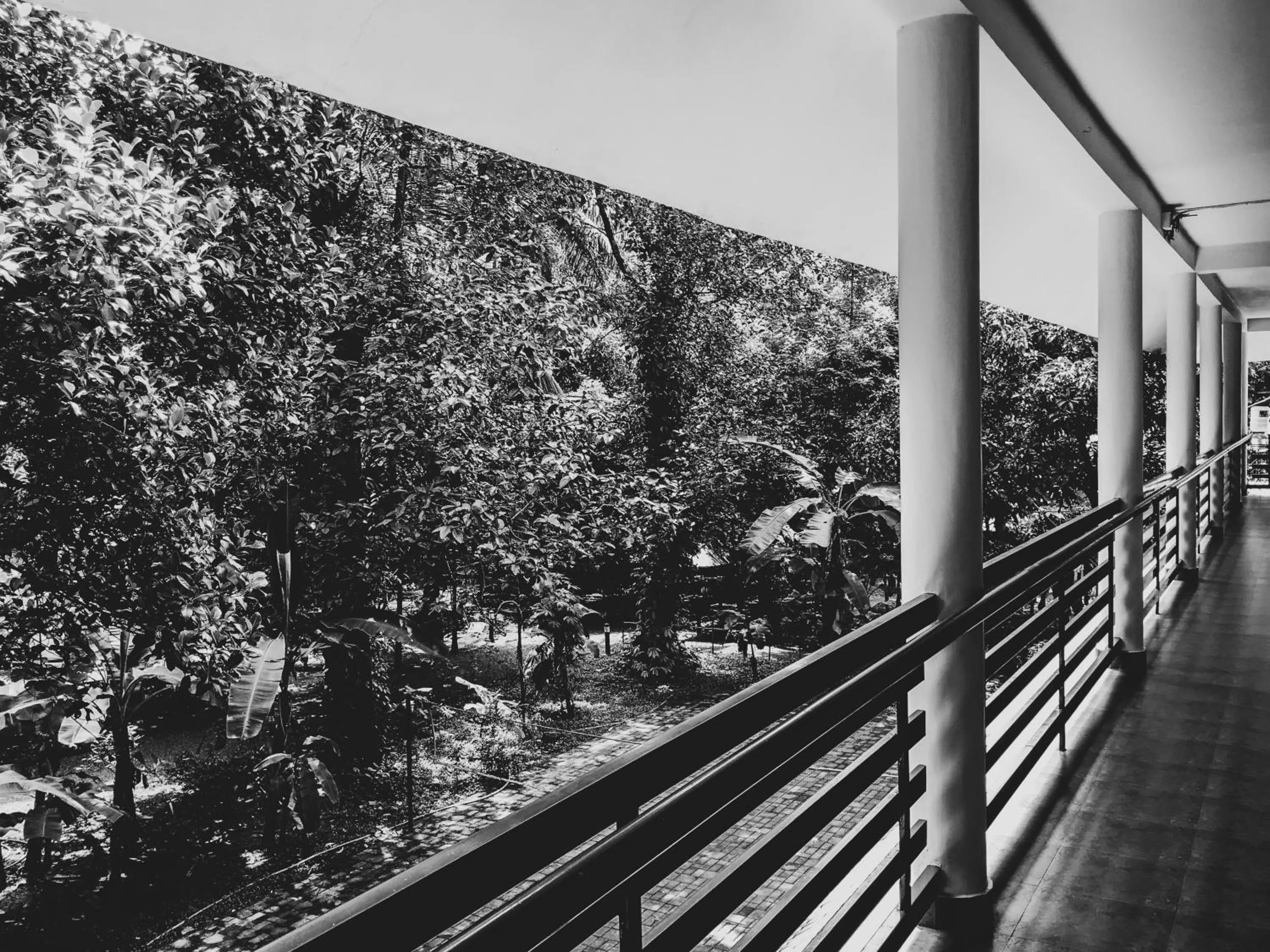 Palm Grove Service Villa