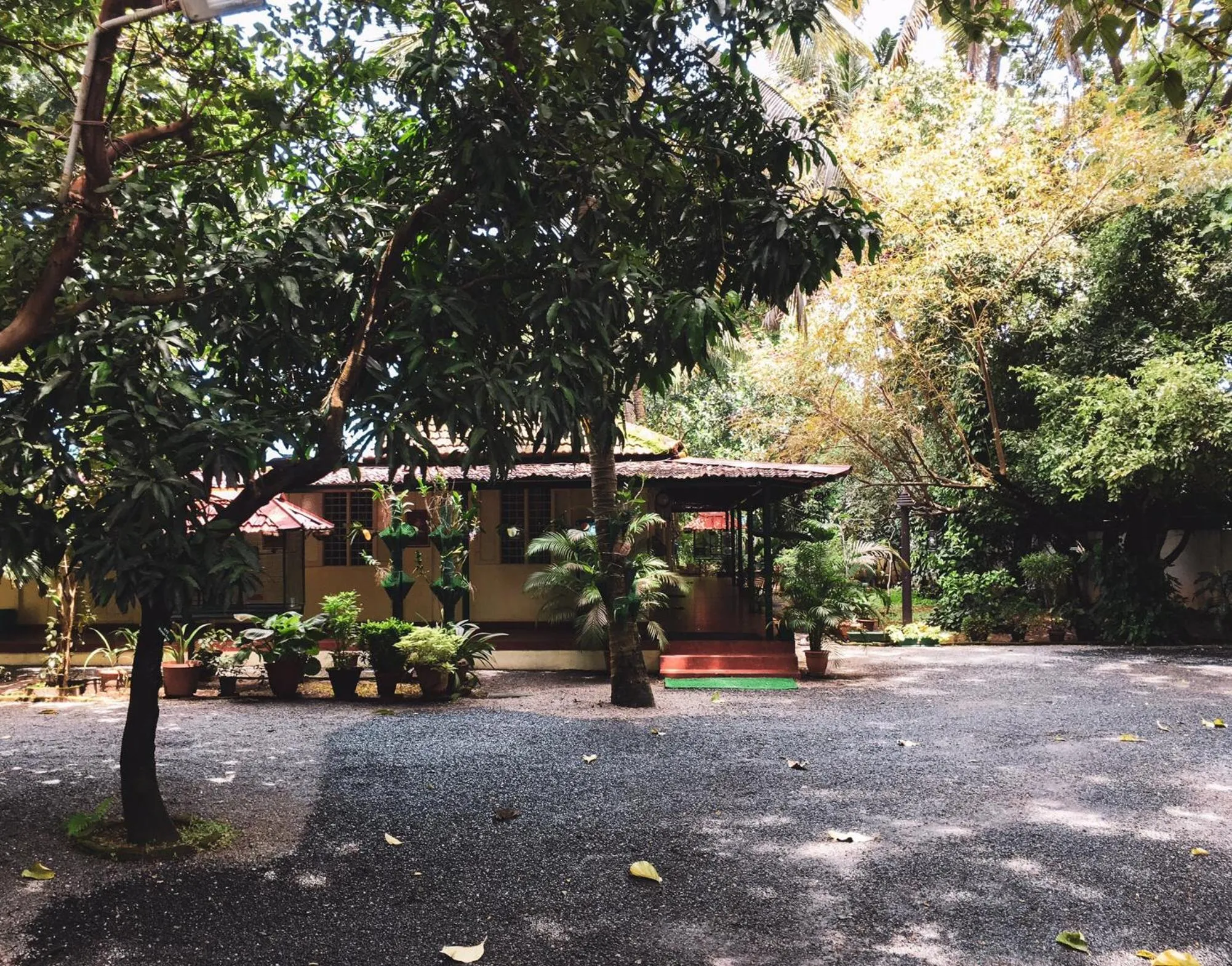 Palm Grove Service Villa