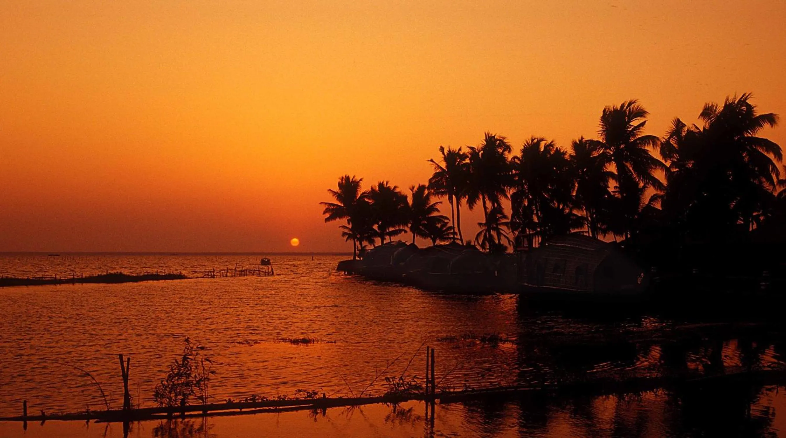 View (from property/room) in Kumarakom Lake Resort