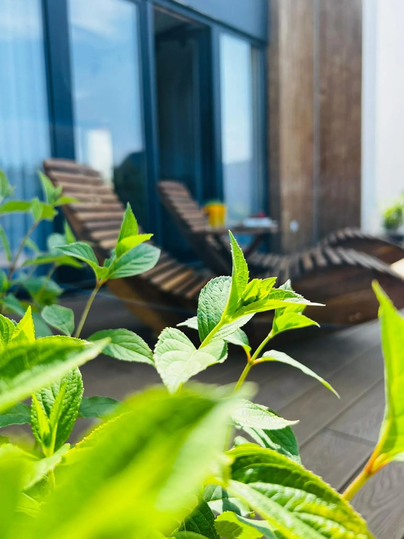 Balcony/Terrace in Amber Park Spa