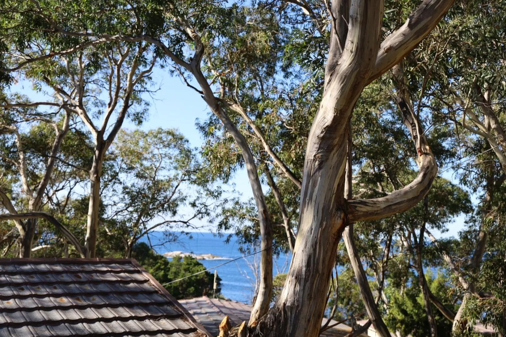 Natural landscape in Bicheno by the Bay