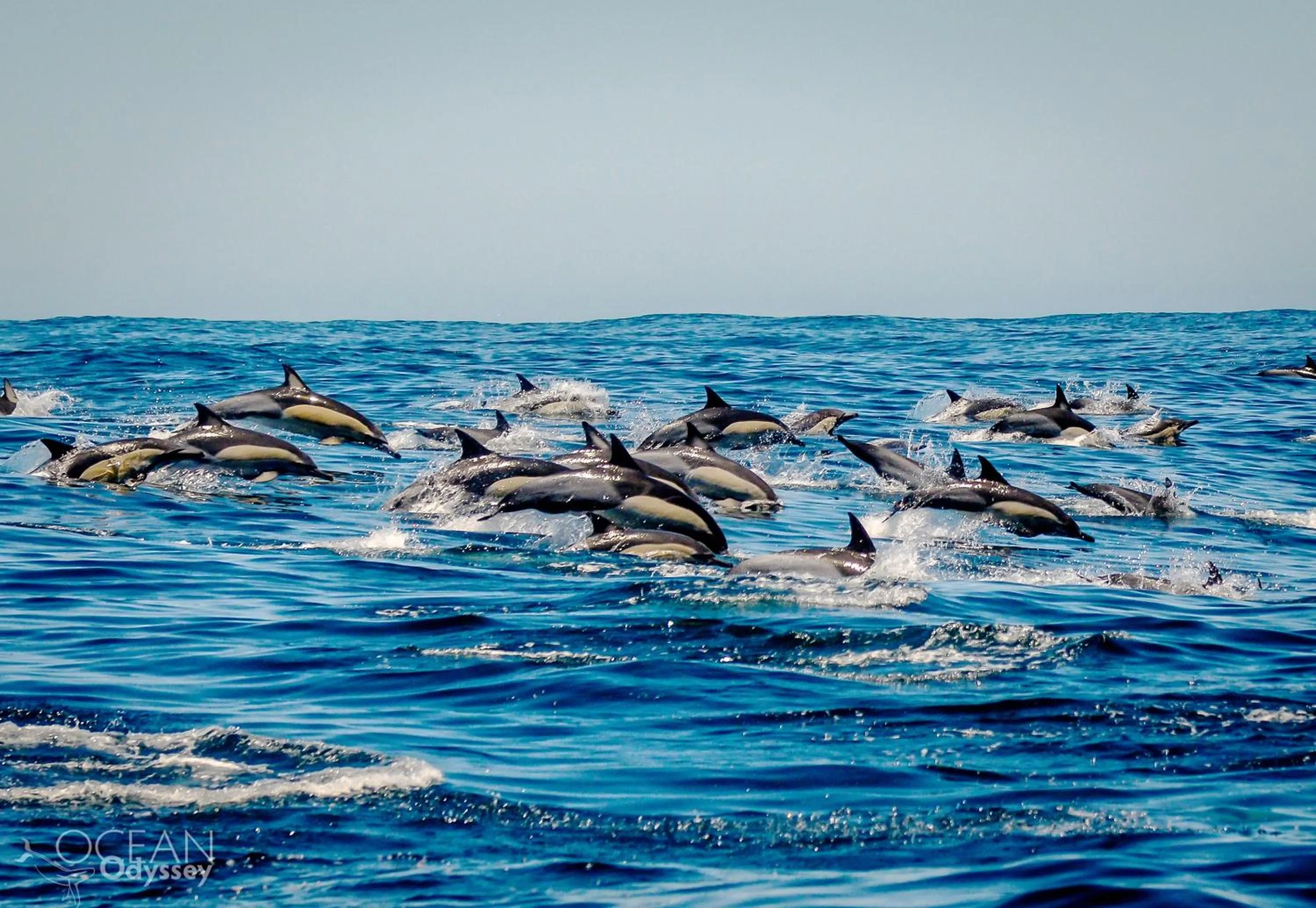Natural landscape in One on Bollard