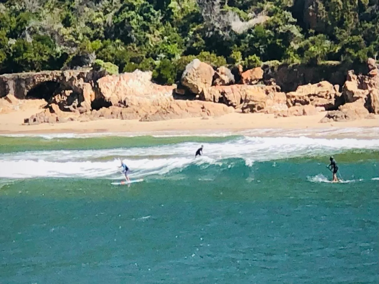 Day in One on Bollard