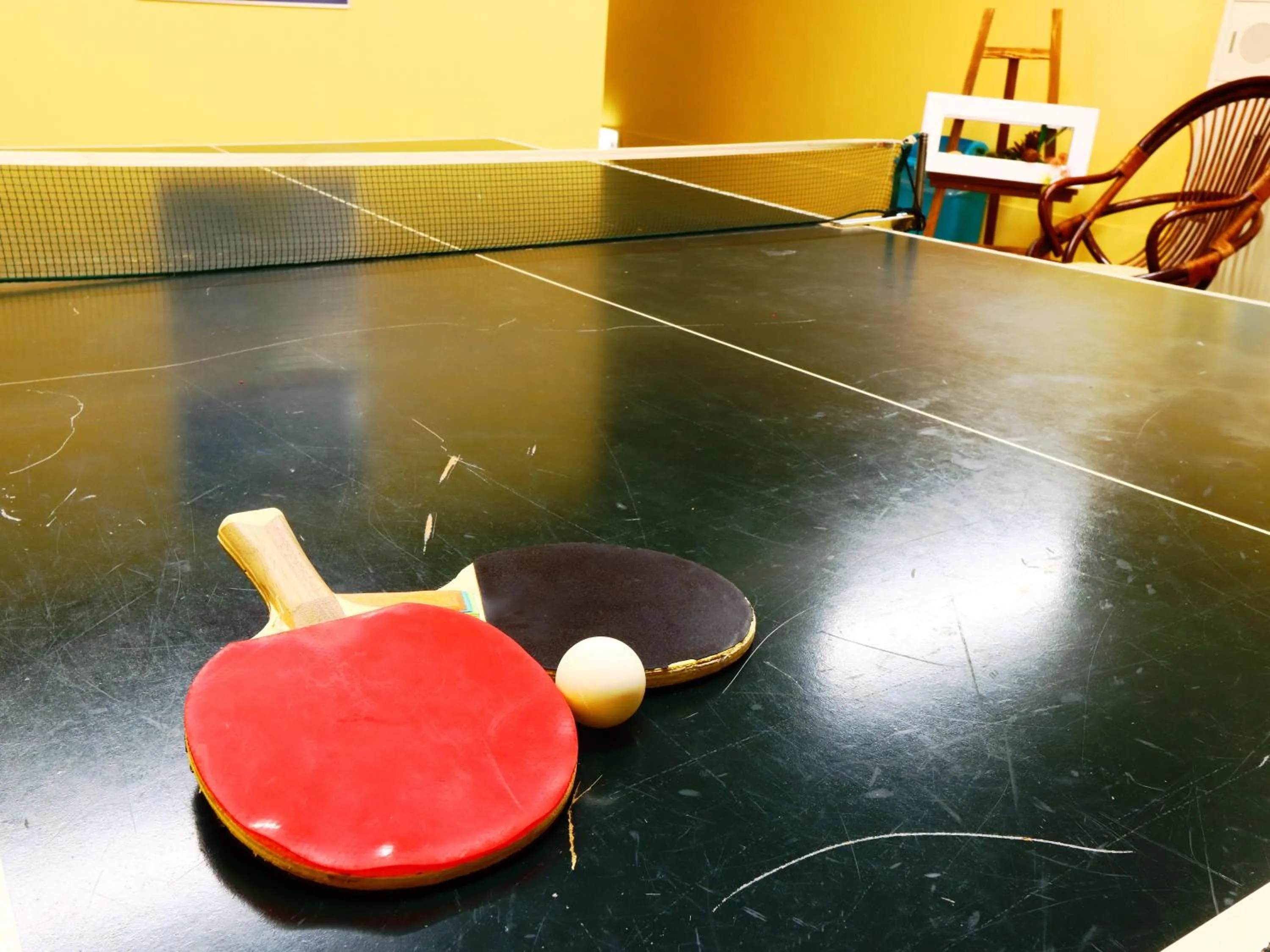Table tennis in Hotel Sunny Valley