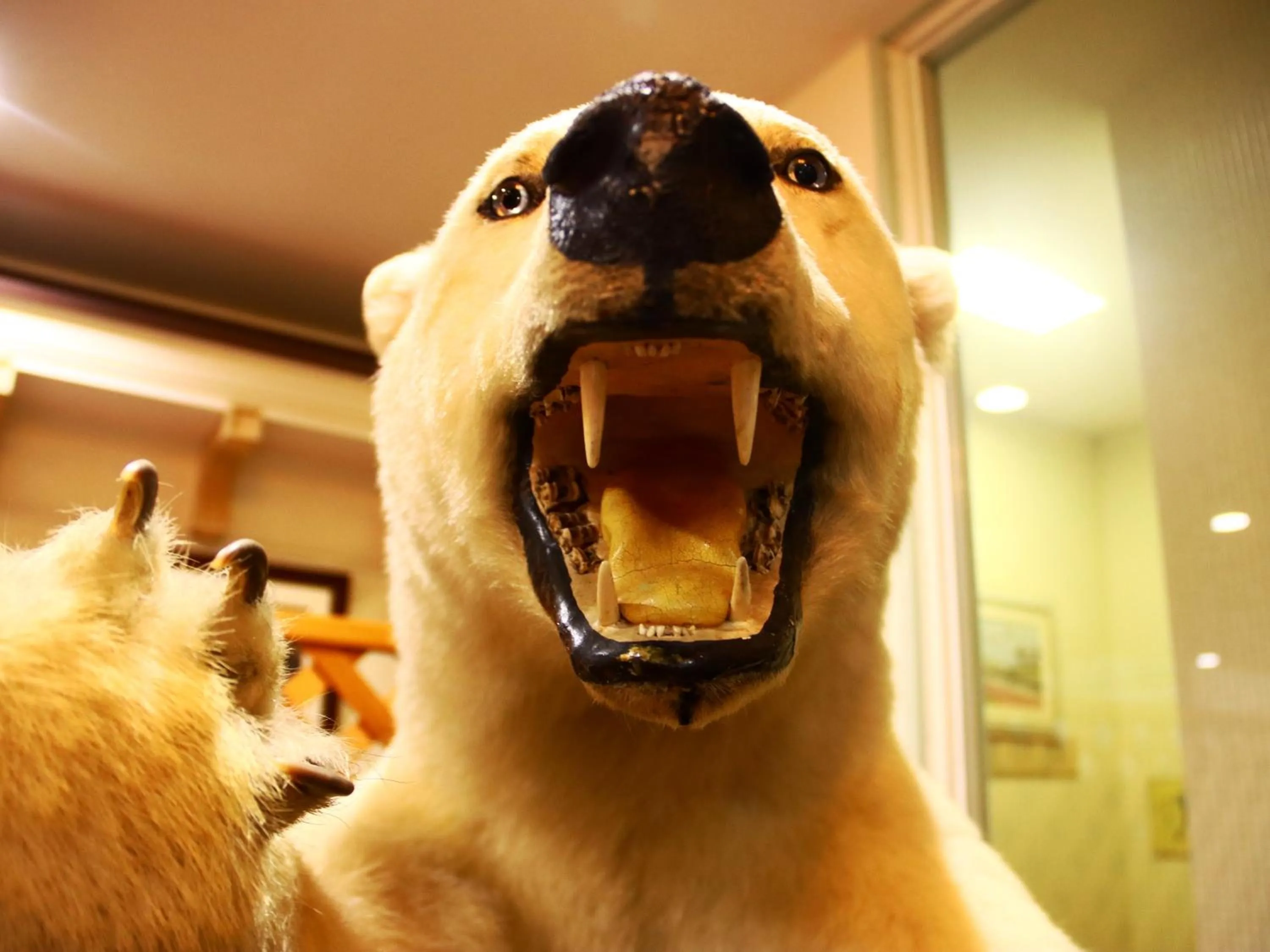 Decorative detail in Hotel Sunny Valley