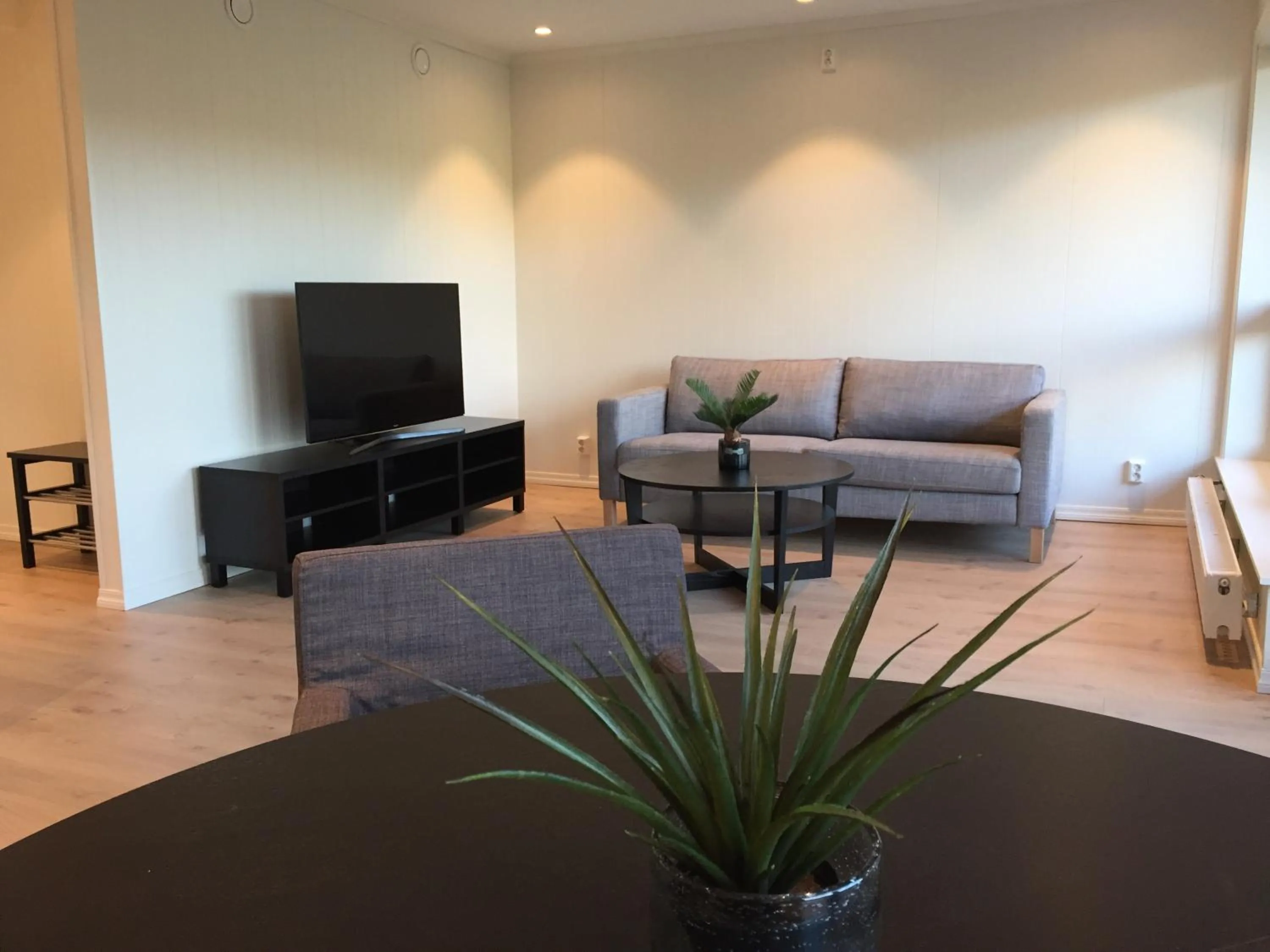 Communal lounge/ TV room in Alver Hotel