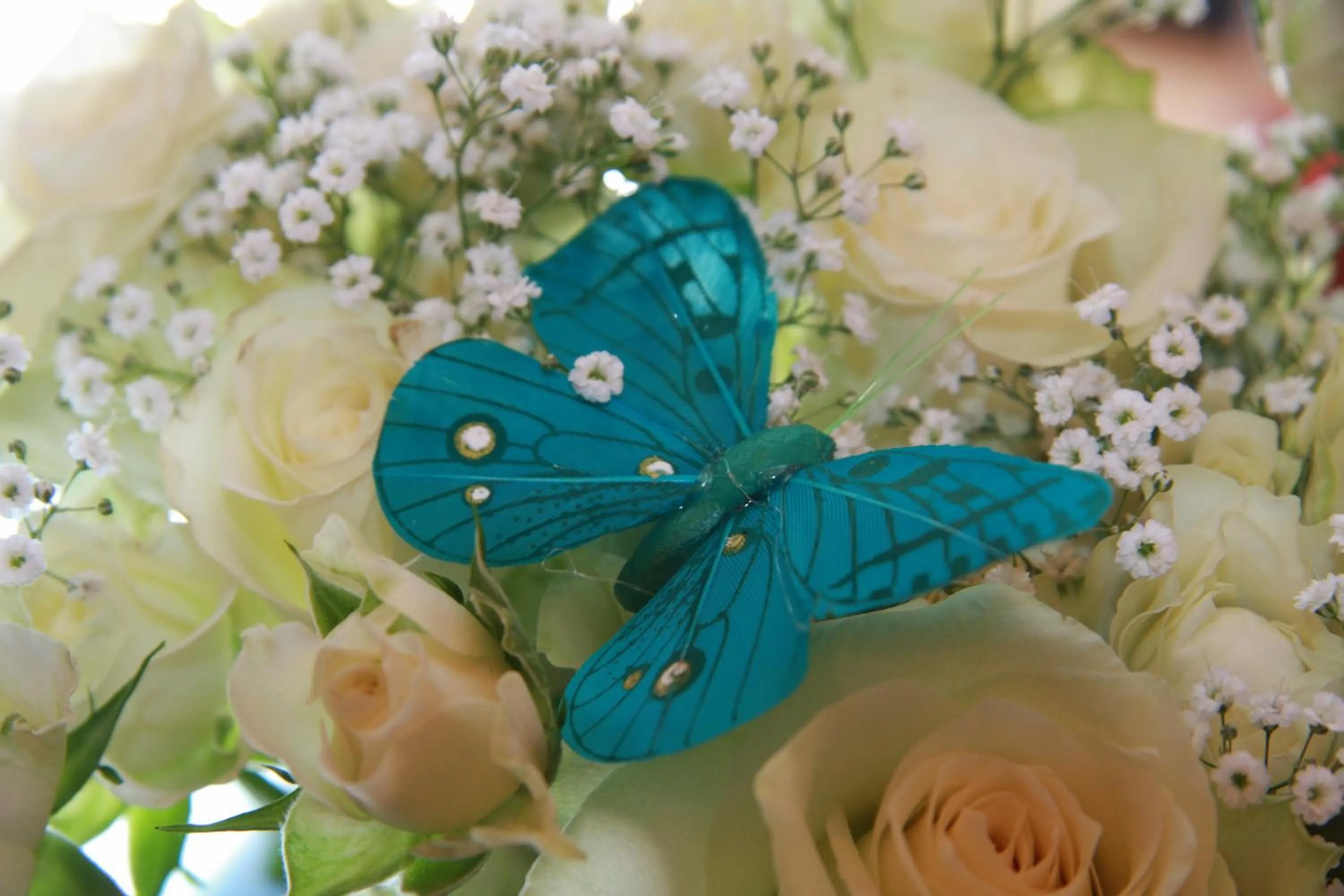 Other in Alver Hotel