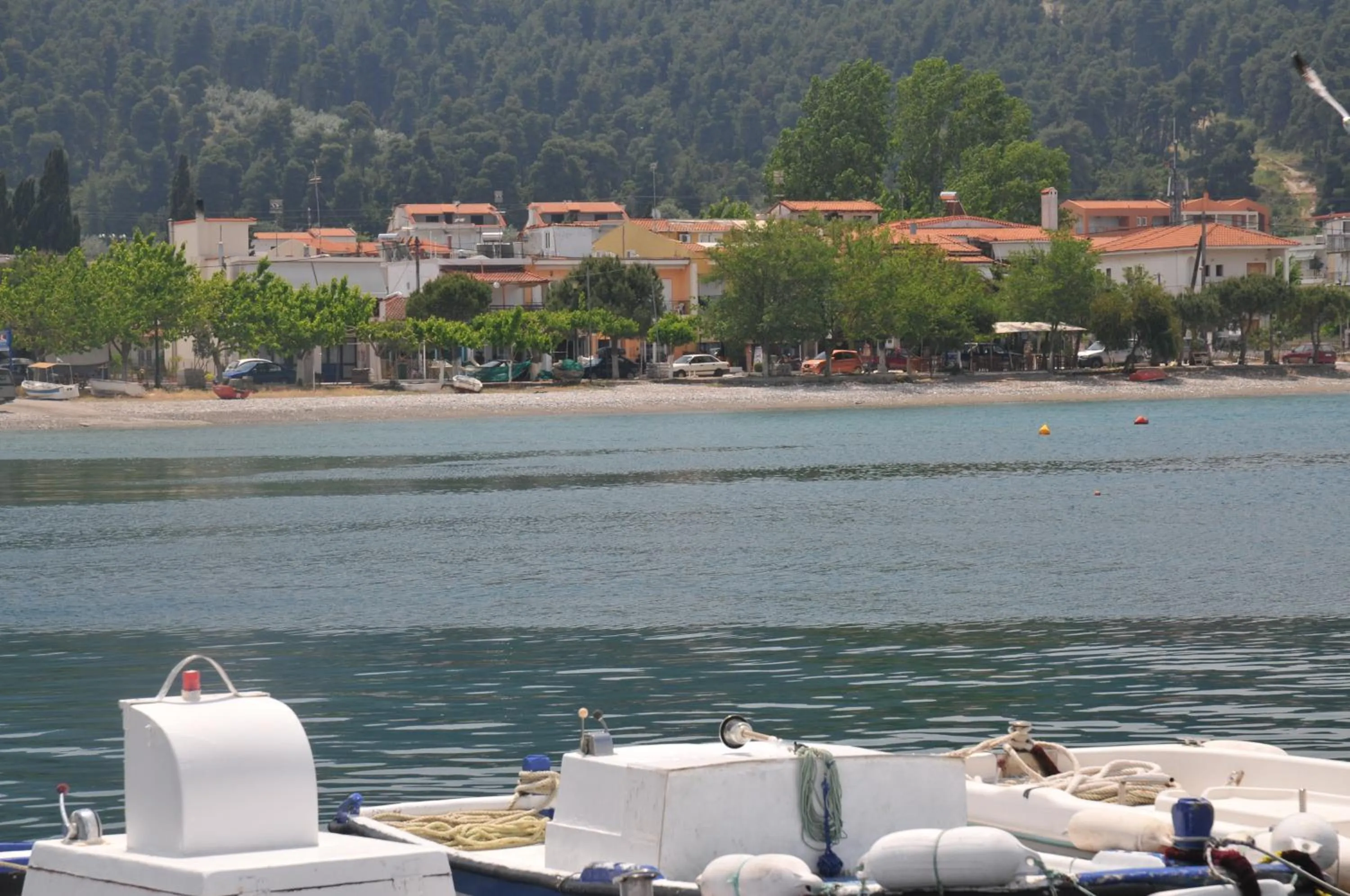 Beach in Irene Studios