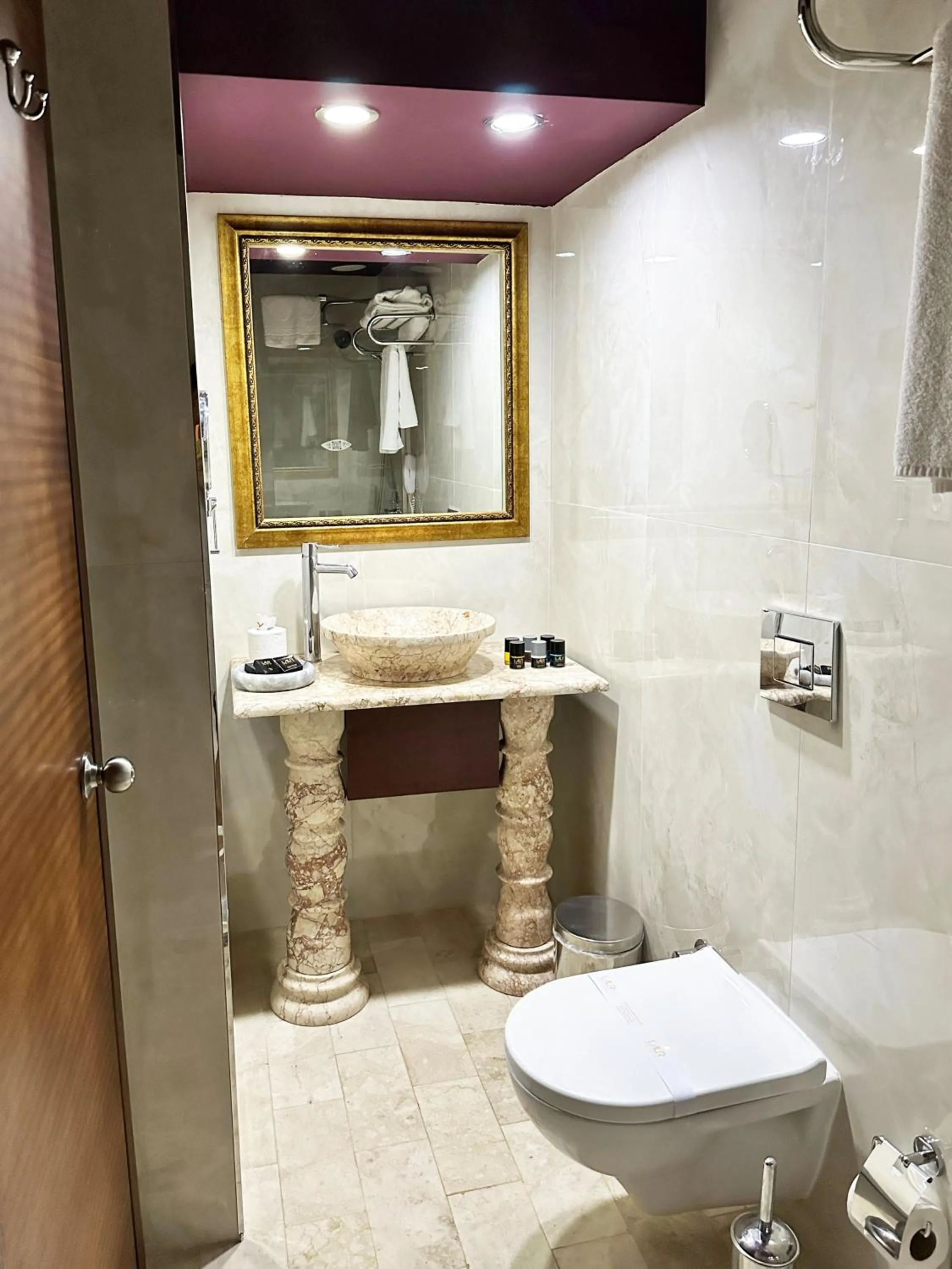 Toilet in LAUR HOTELS Experience & Elegance