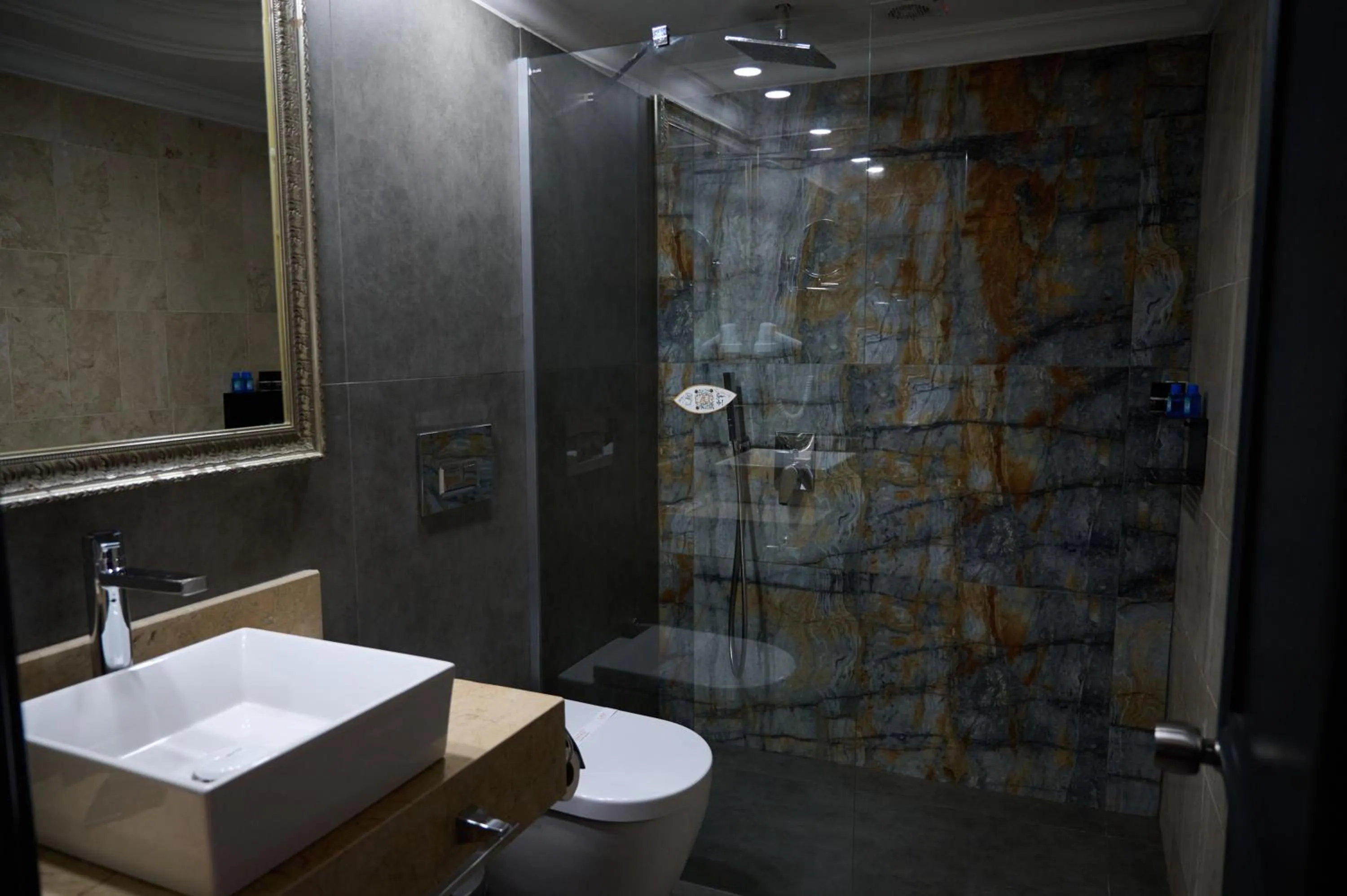 Shower in LAUR HOTELS Experience & Elegance