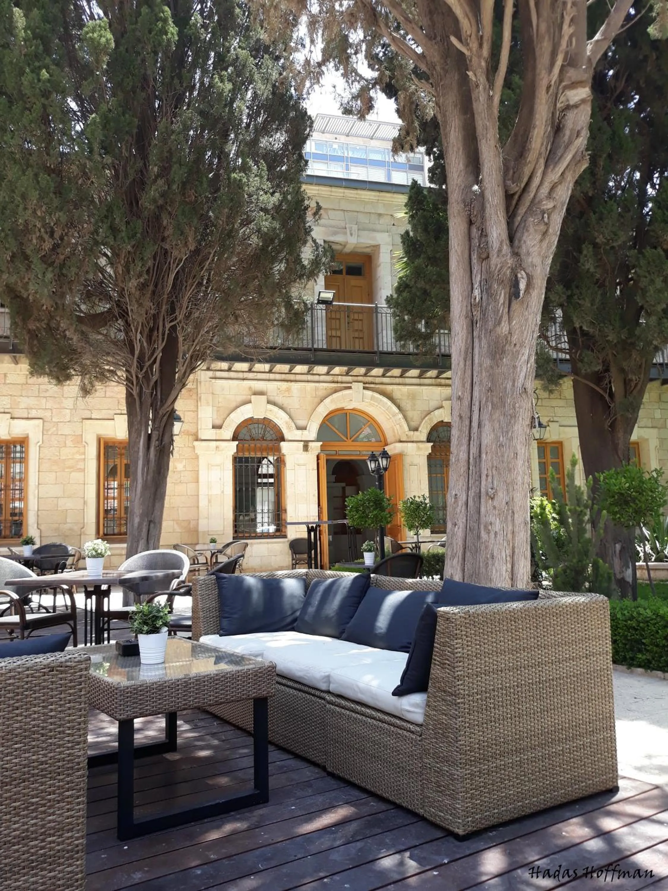 Garden in Sergei Palace Hotel