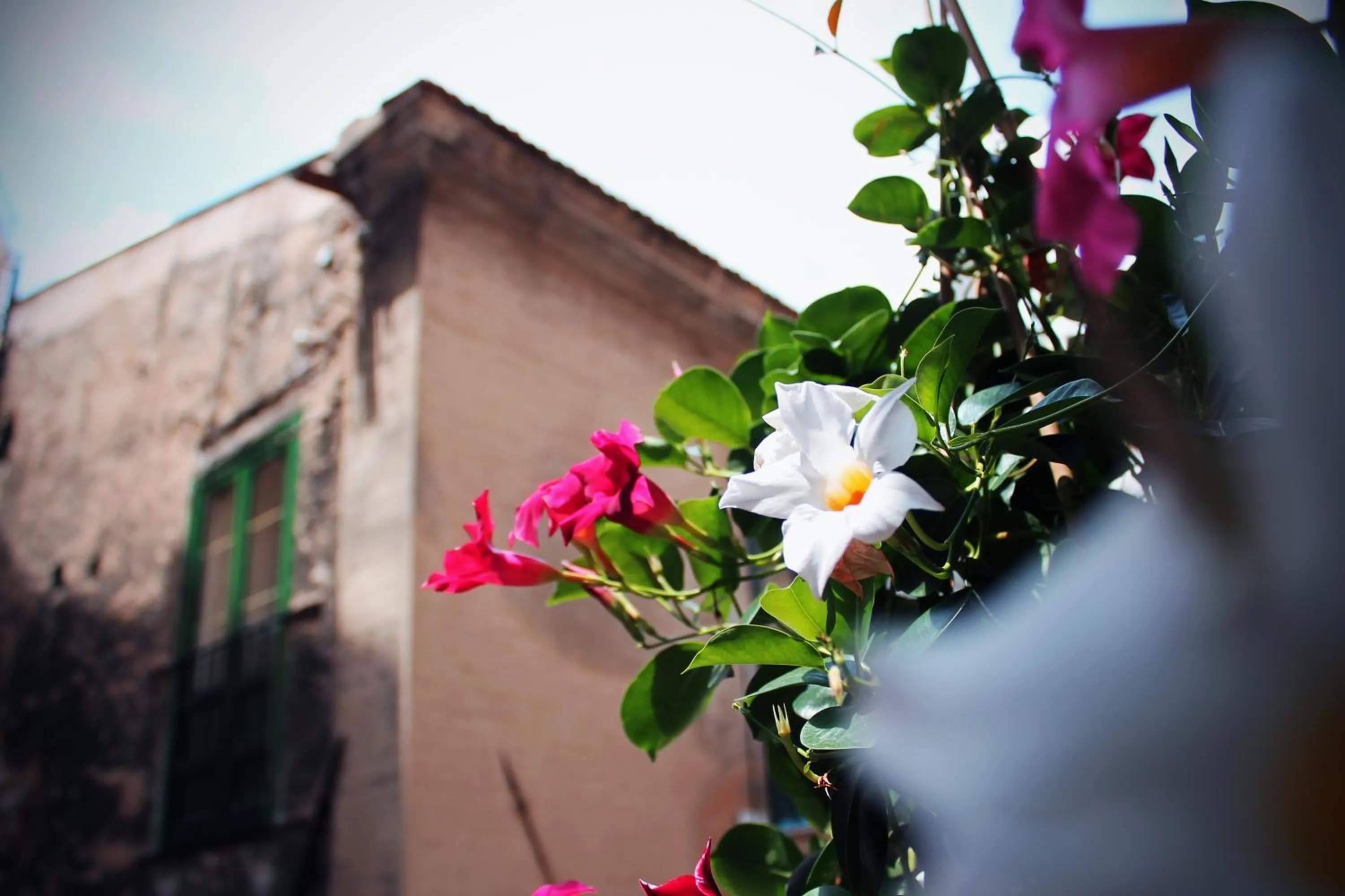 View (from property/room) in Palazzo delle Logge