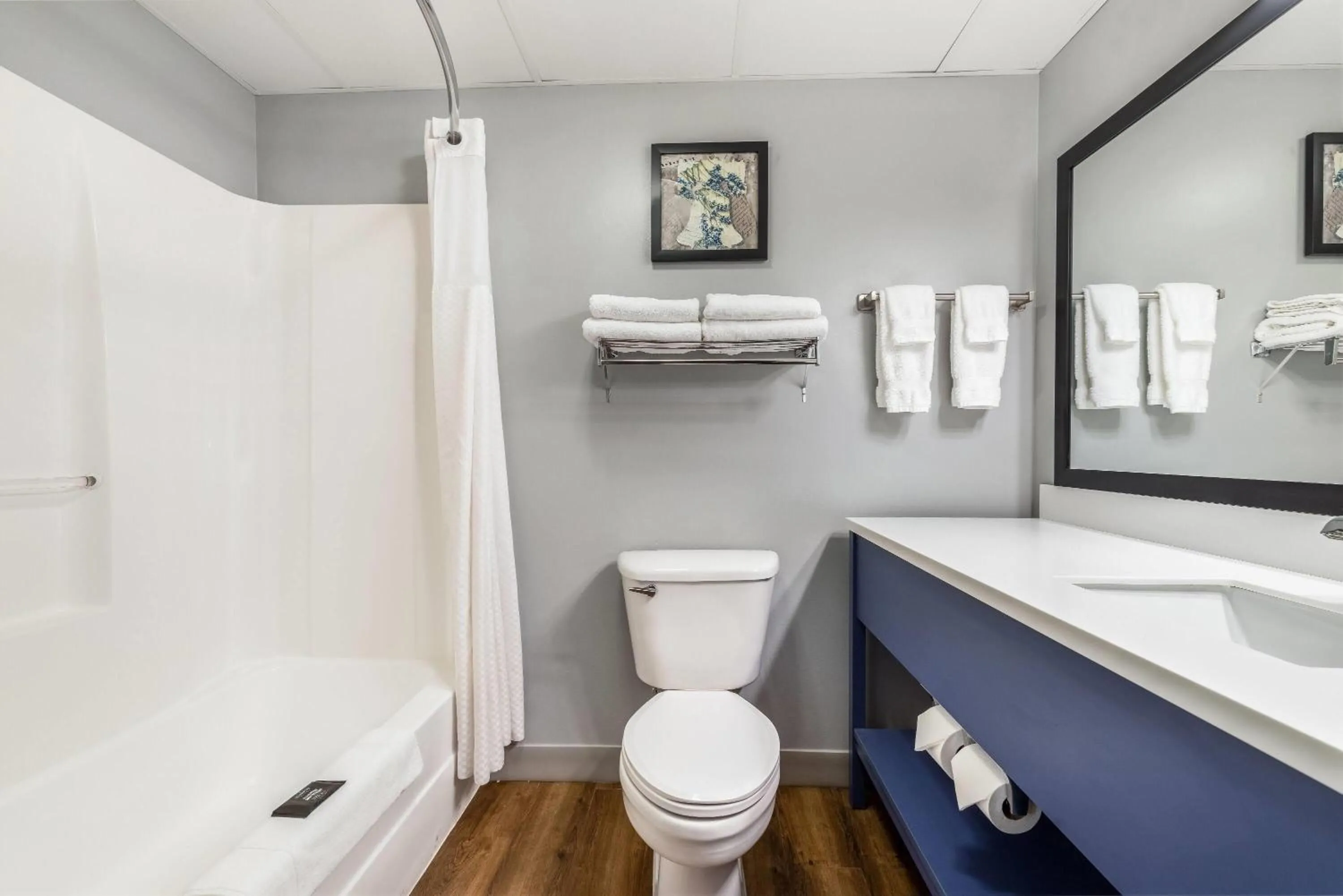 Bathroom in AmericInn by Wyndham Mounds View Minneapolis