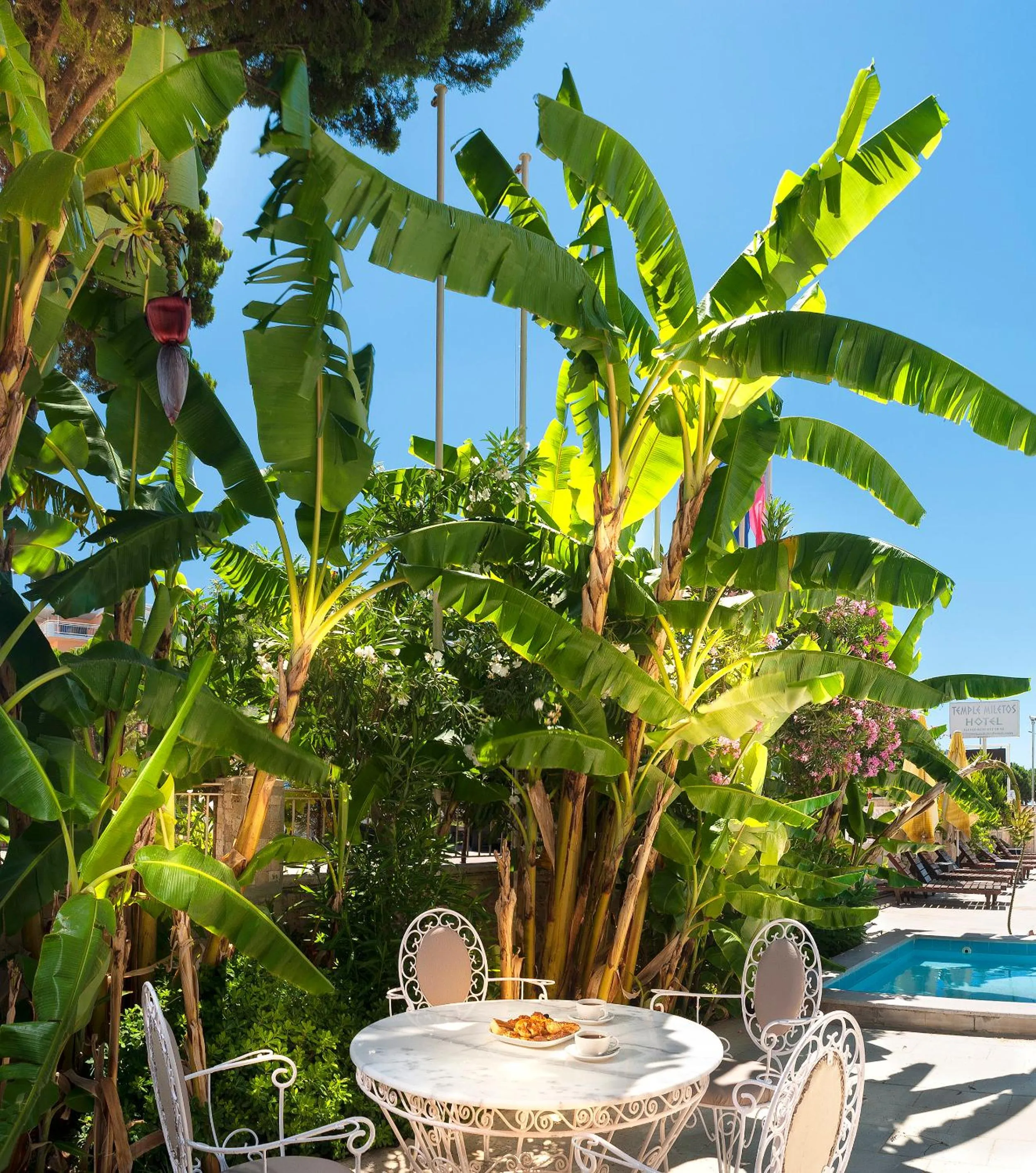 Garden in Temple Miletos Spa Hotel