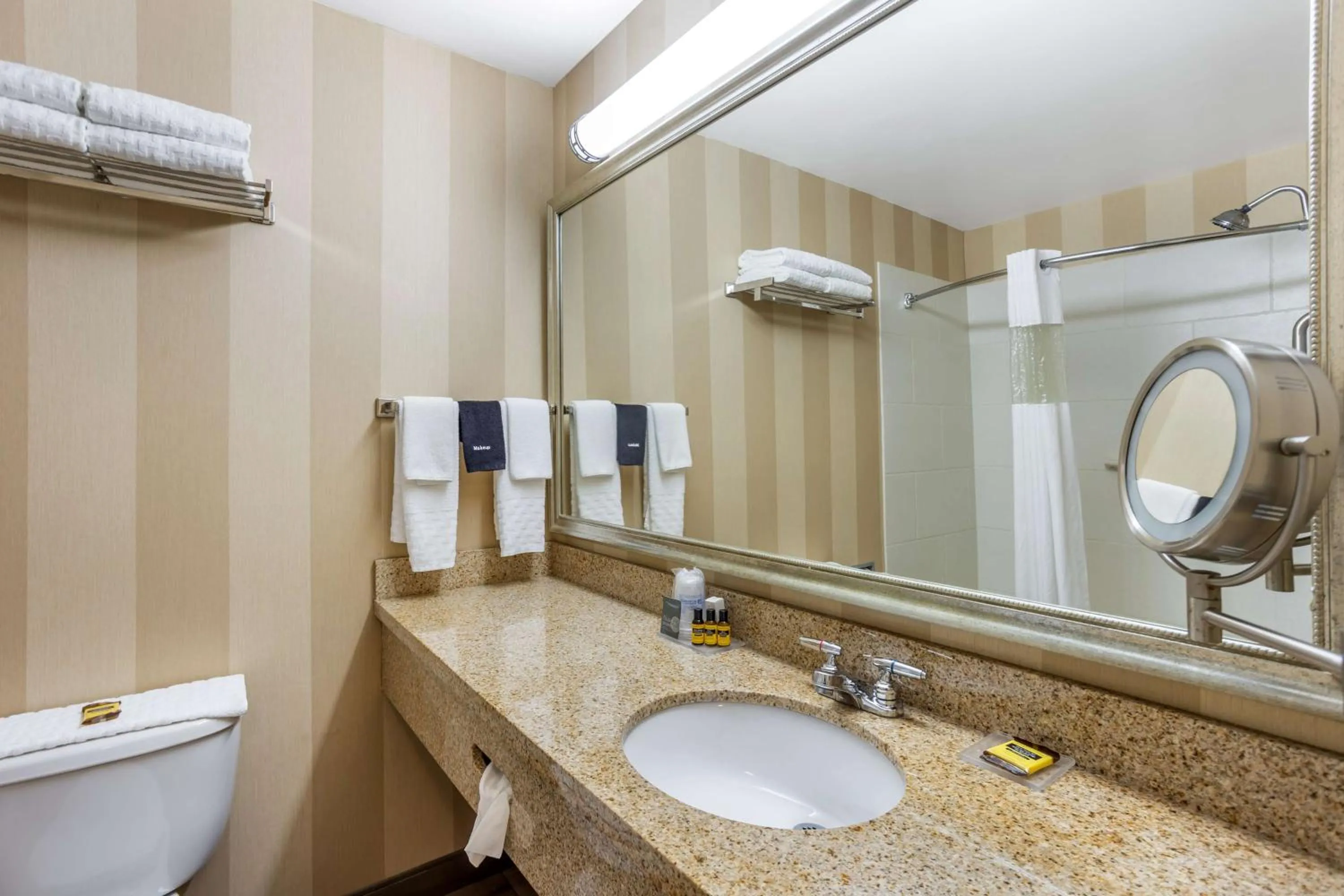 Bathroom in Best Western PLUS University Park Inn & Suites