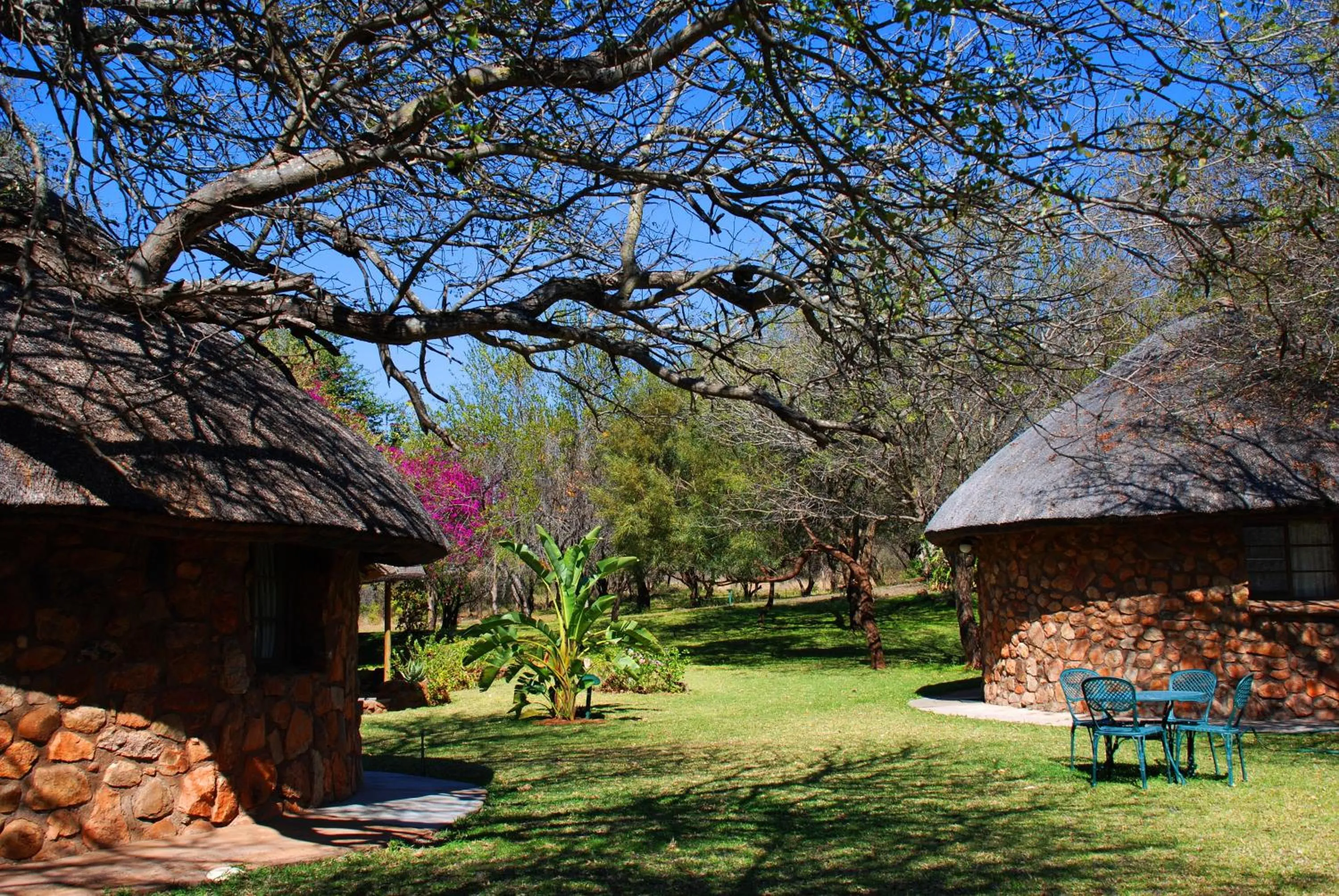 Day in Blyde River Wilderness Lodge
