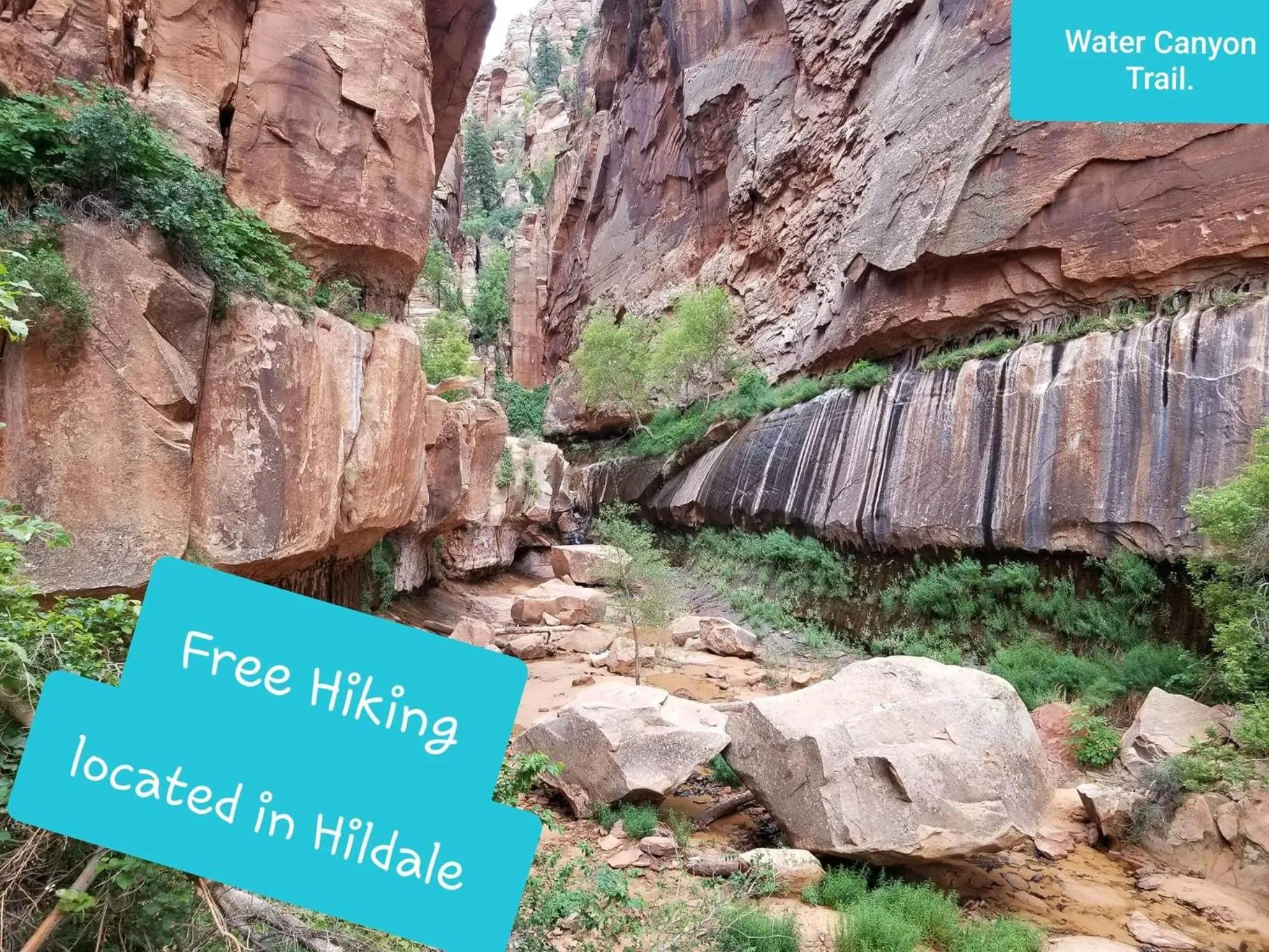 Zion’s Cozy Cabin's