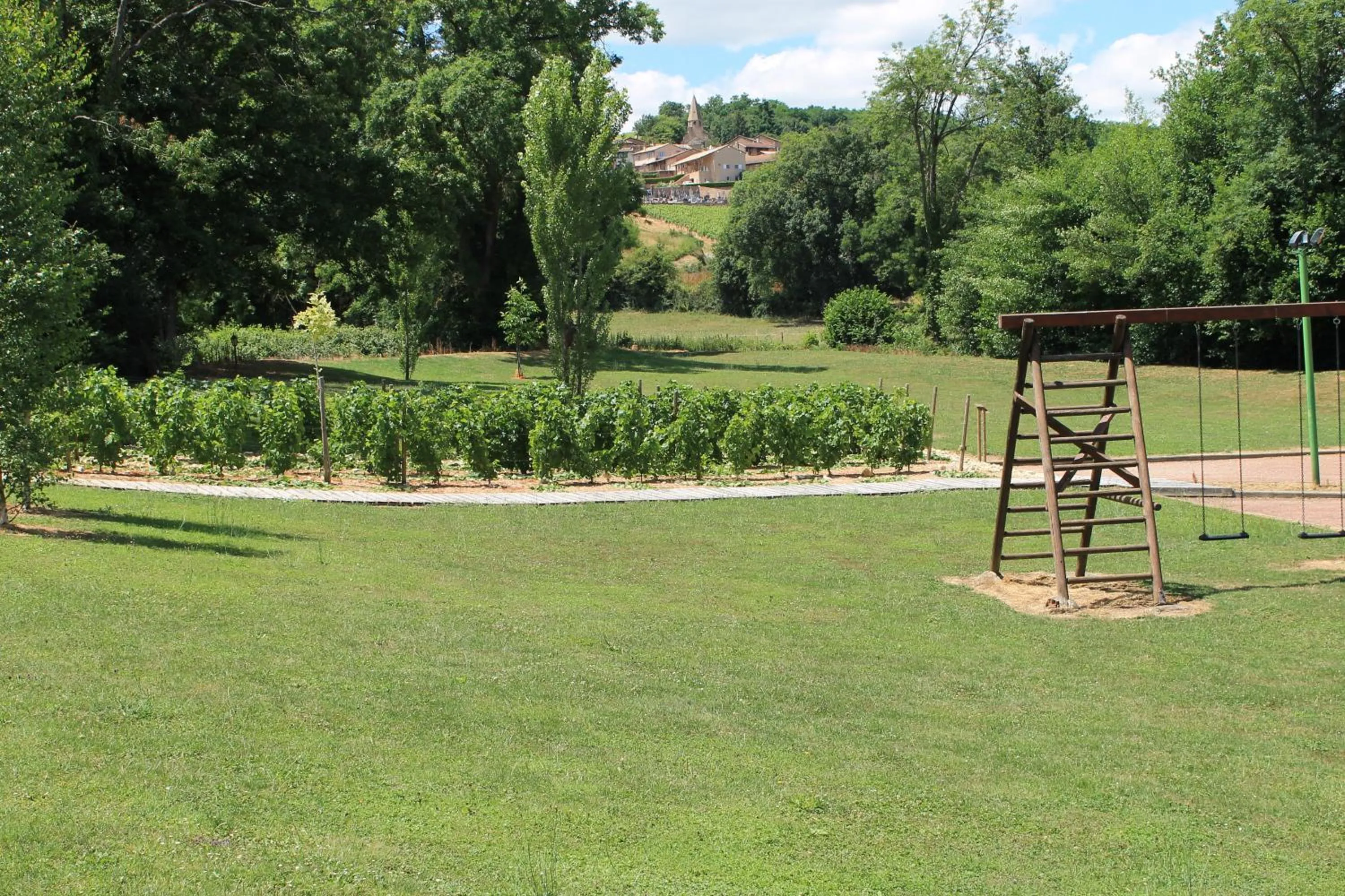 Garden in Hôtel Restaurant Le Moulin de Saint Verand