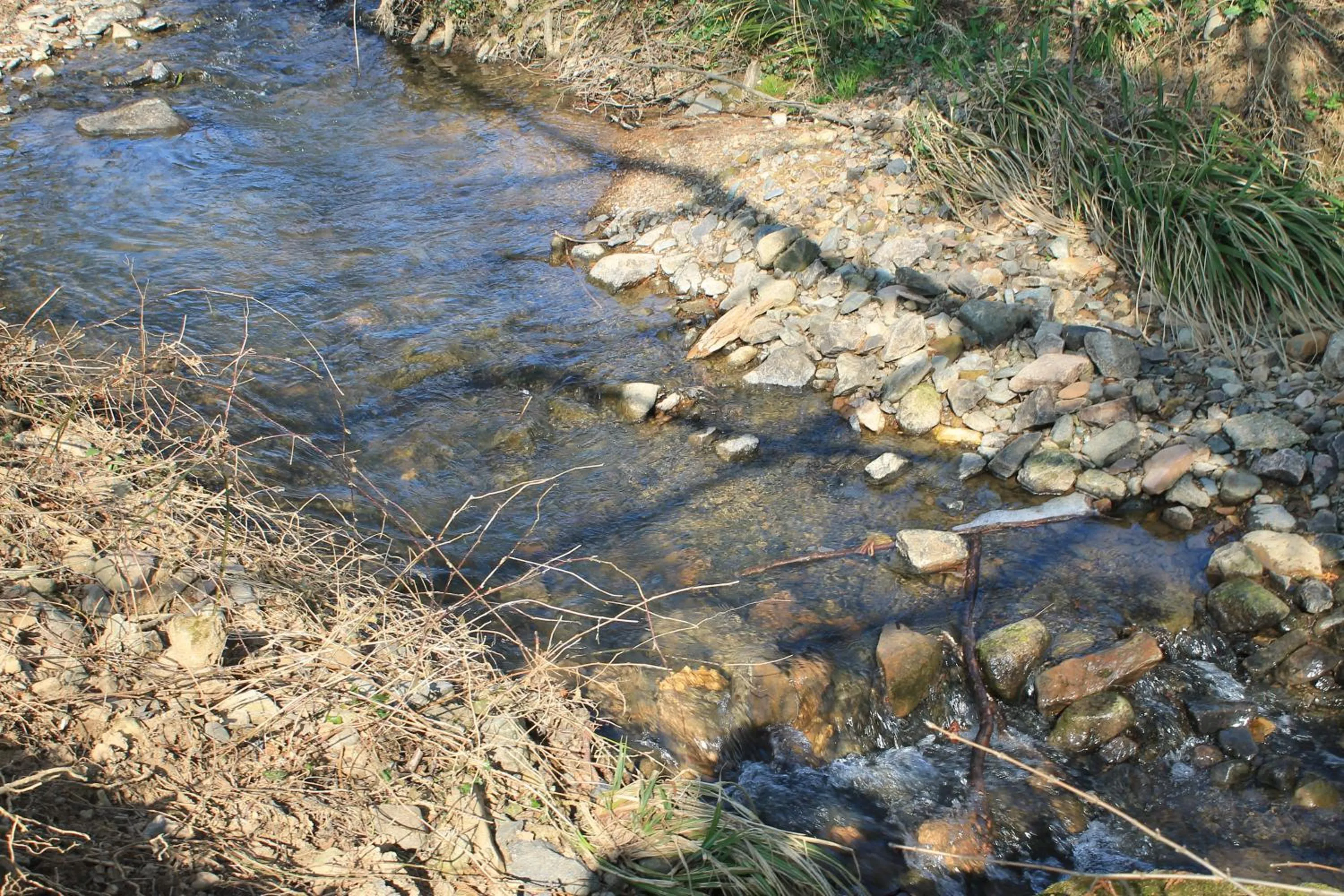 River view in Hôtel Restaurant Le Moulin de Saint Verand