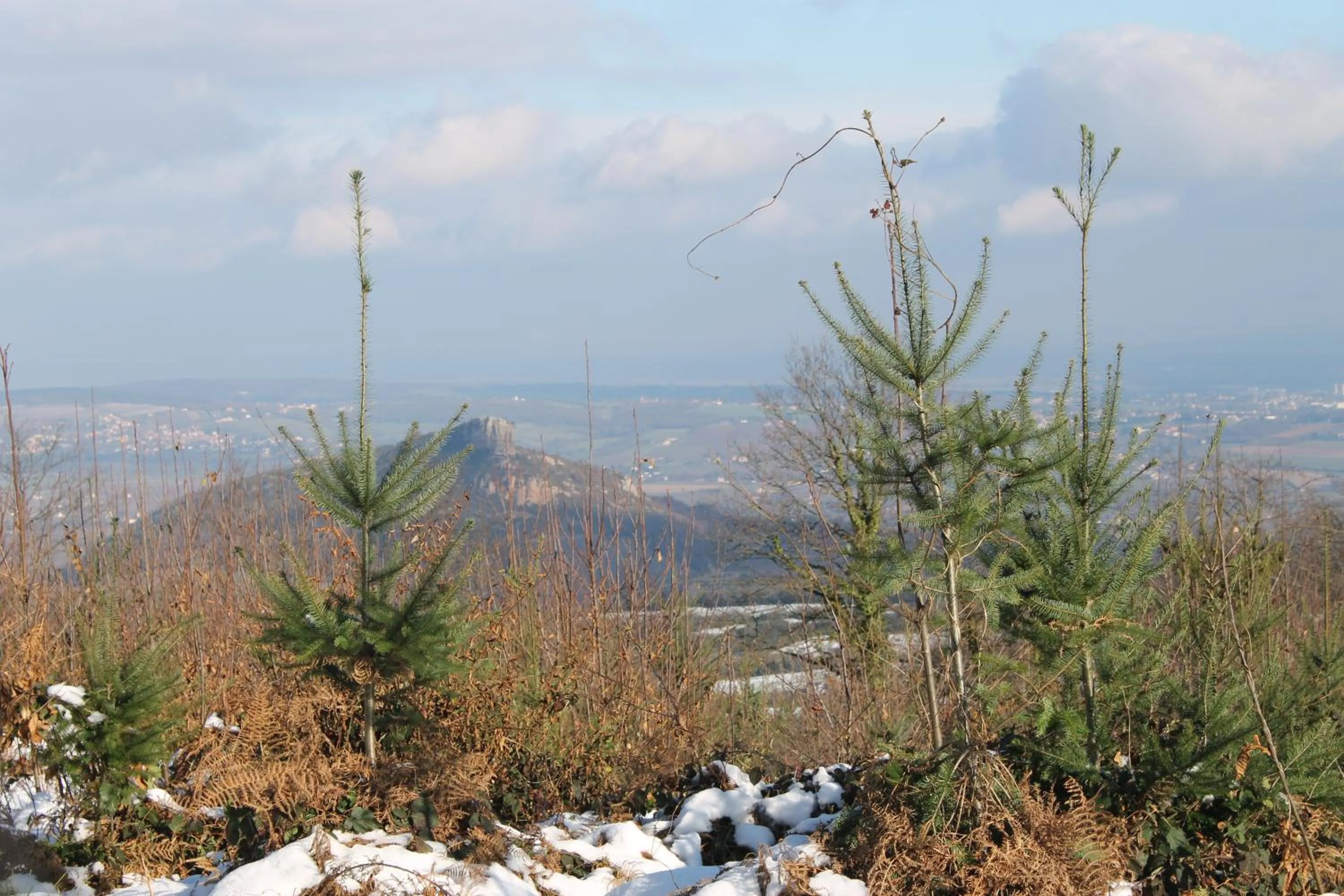 Nearby landmark in Hôtel Restaurant Le Moulin de Saint Verand