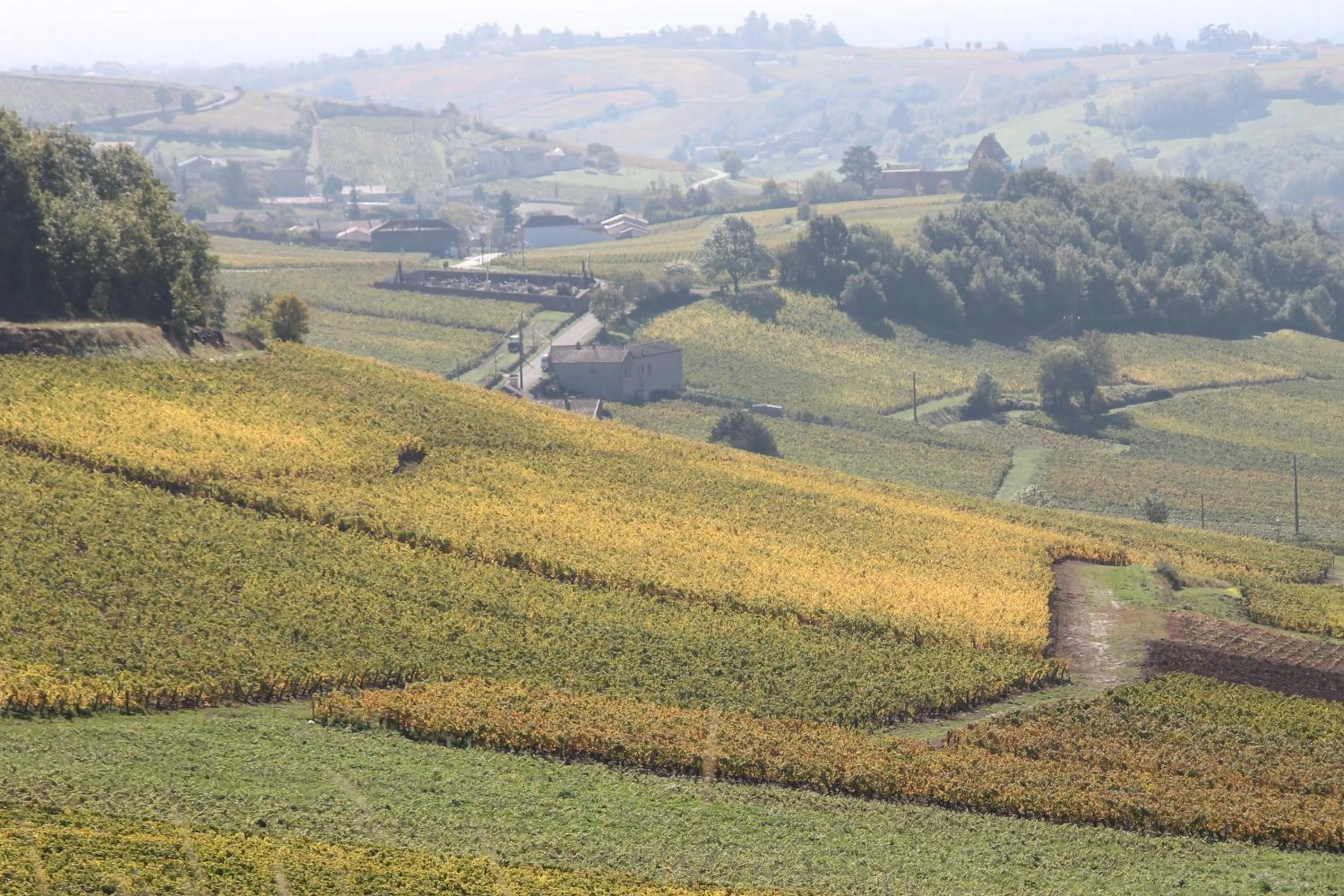 Autumn in Hôtel Restaurant Le Moulin de Saint Verand