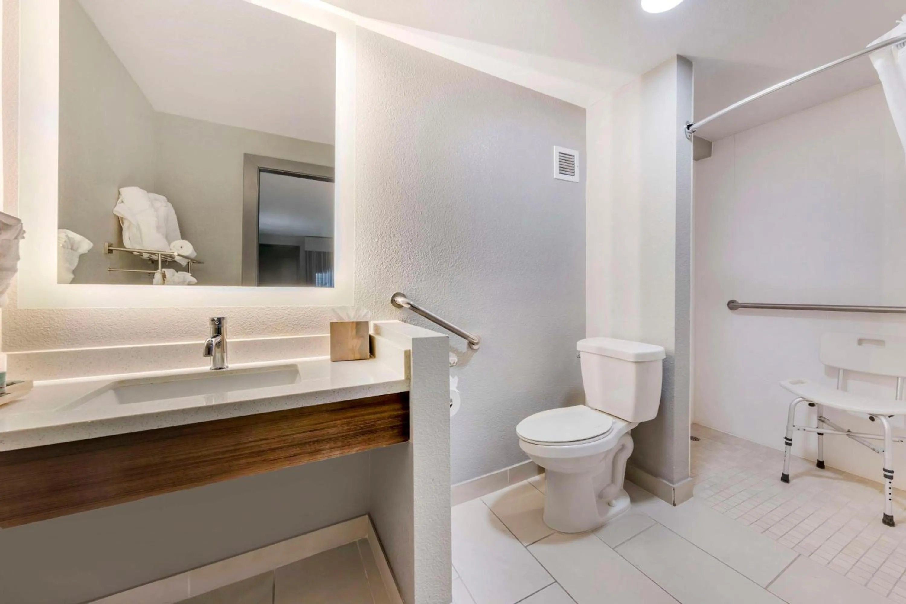 Bathroom in Aiden by Best Western South Reno