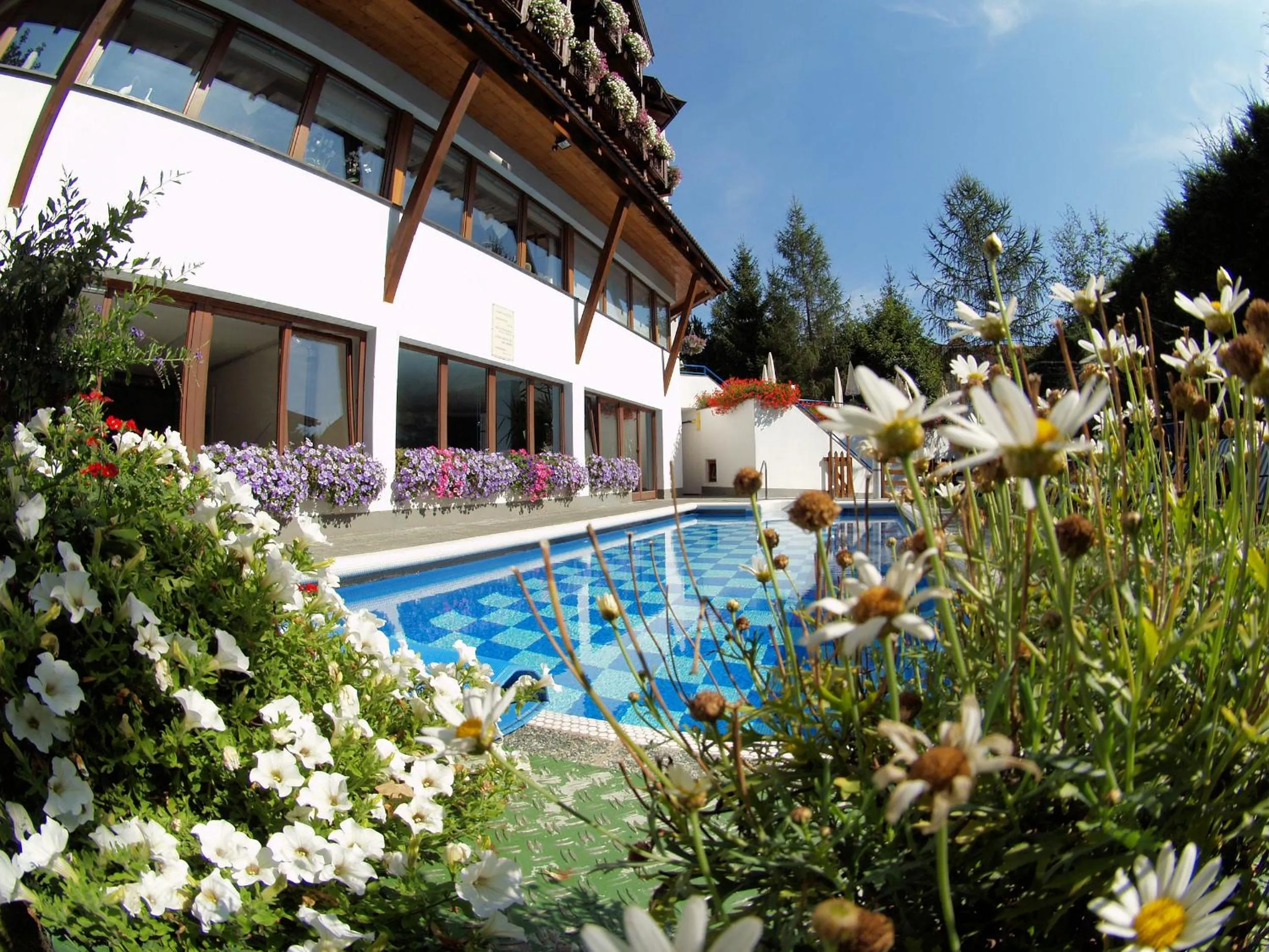 Swimming pool in Hotel Montana