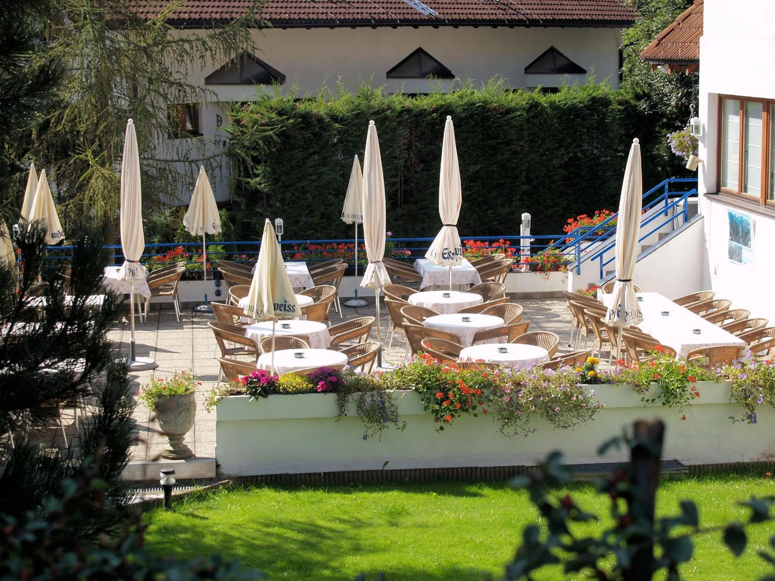 Garden in Hotel Montana