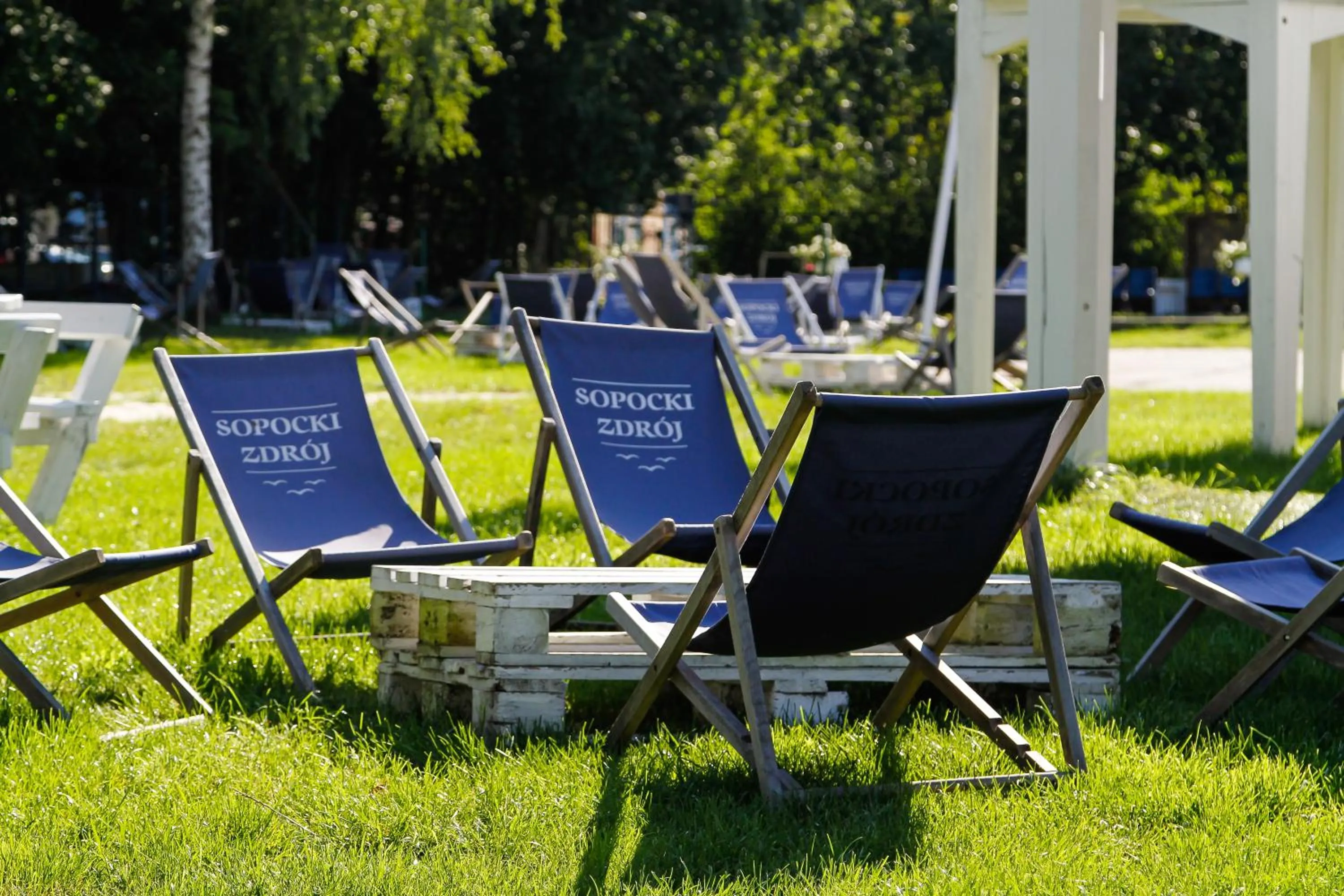 Garden in Sopocki Zdrój