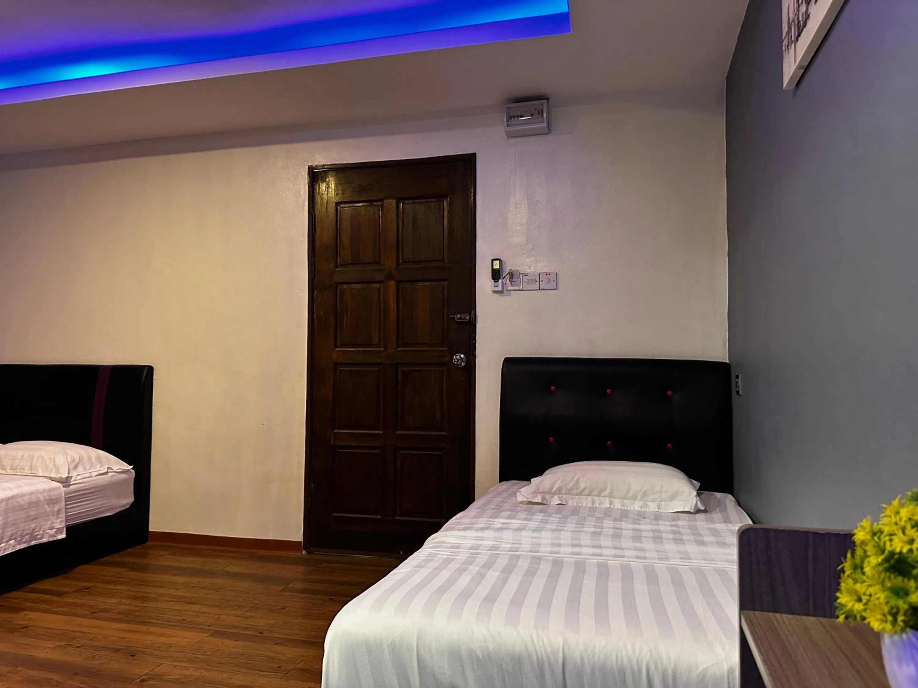 Bed in Cow B Homestay Semporna