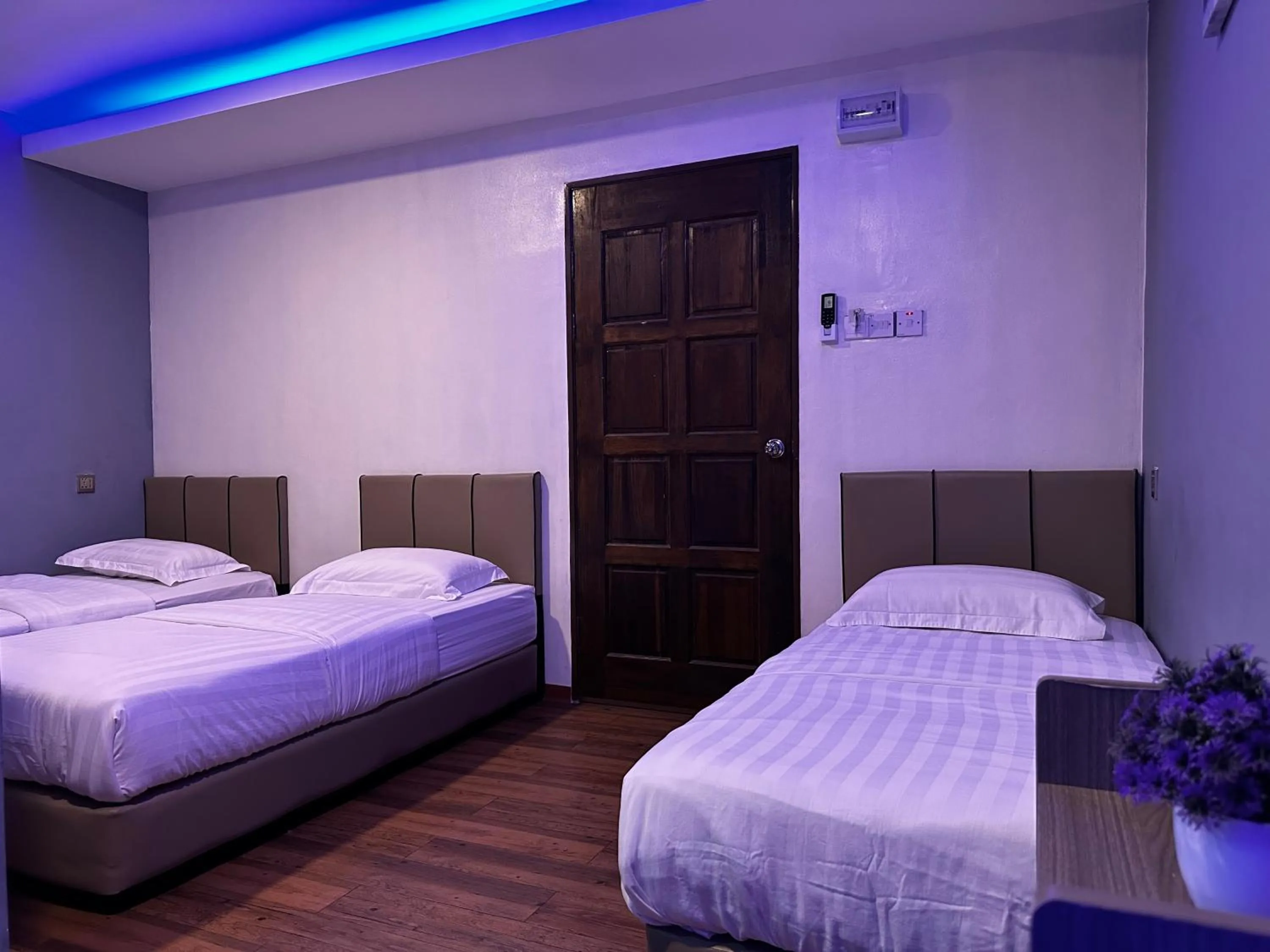 Bed in Cow B Homestay Semporna