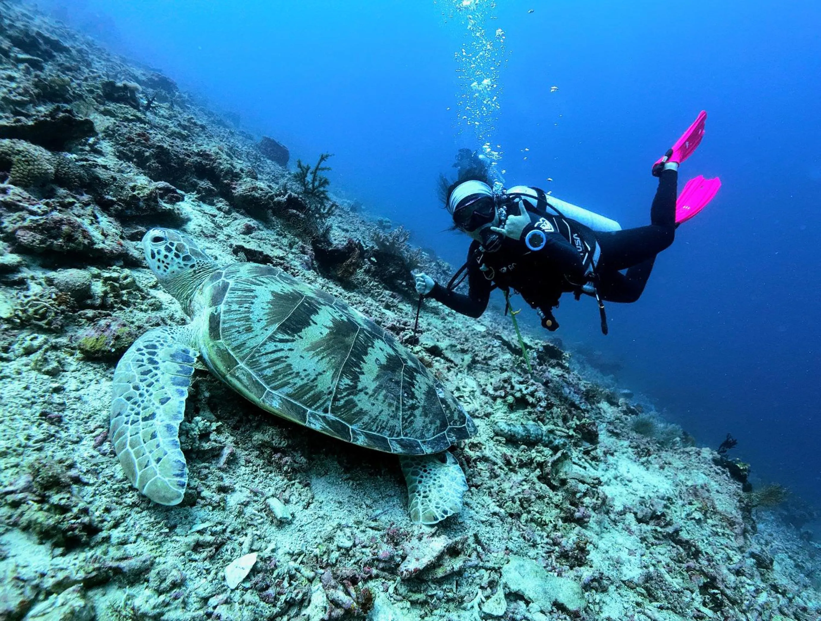 Cow B Homestay Semporna