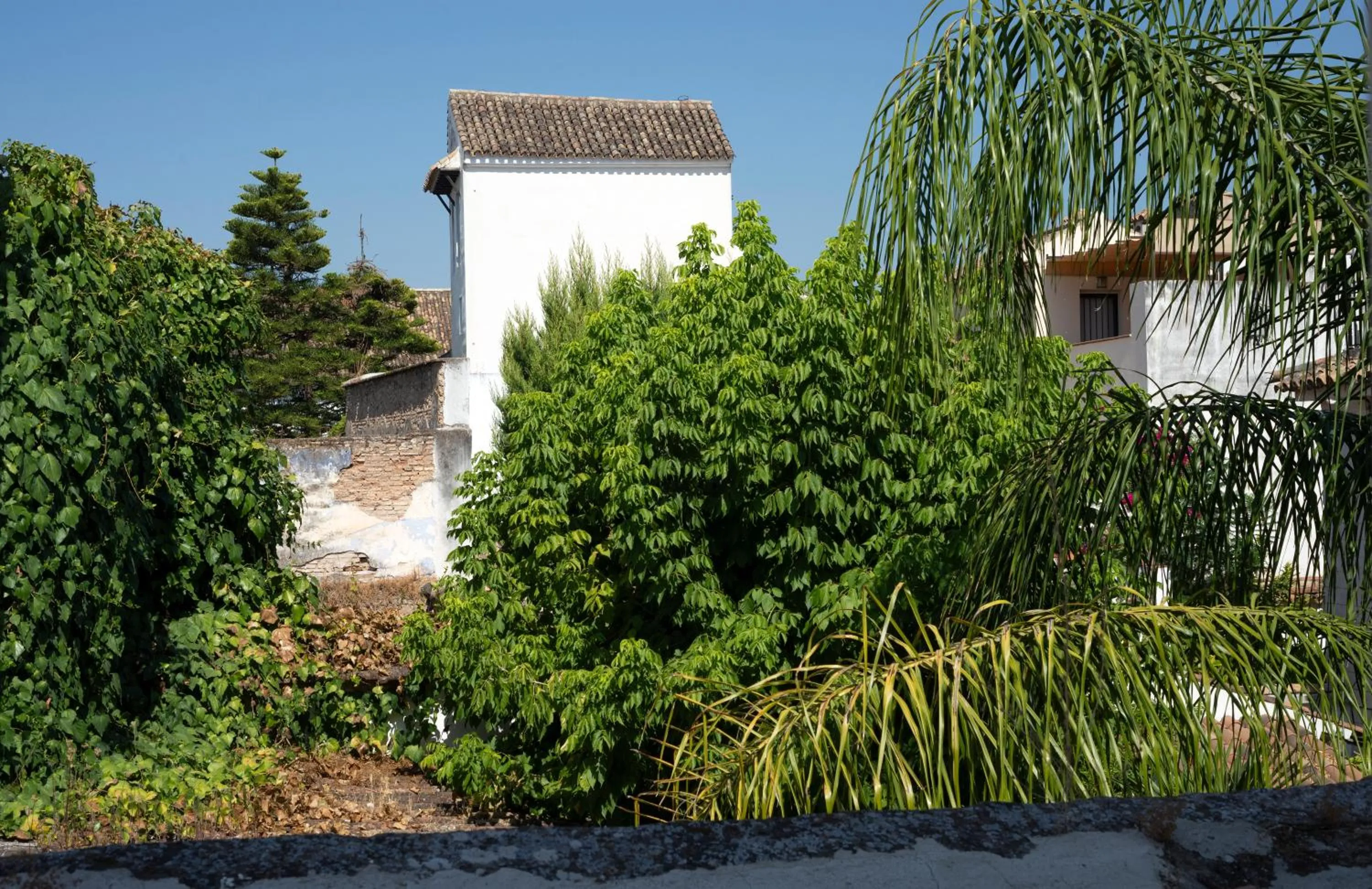 Garden view in Hotel Viento10