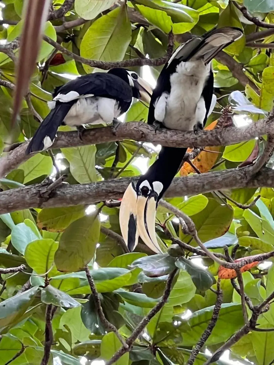 One-Bedroom Cottage in Koh Phaluai Beach Bangalow One-Bedroom Cottage in Koh Phaluai Beach Bangalow