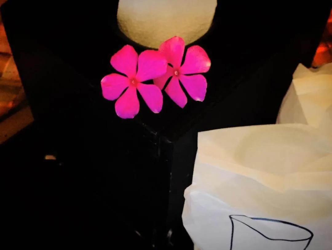 Koh Phaluai Beach Bangalow