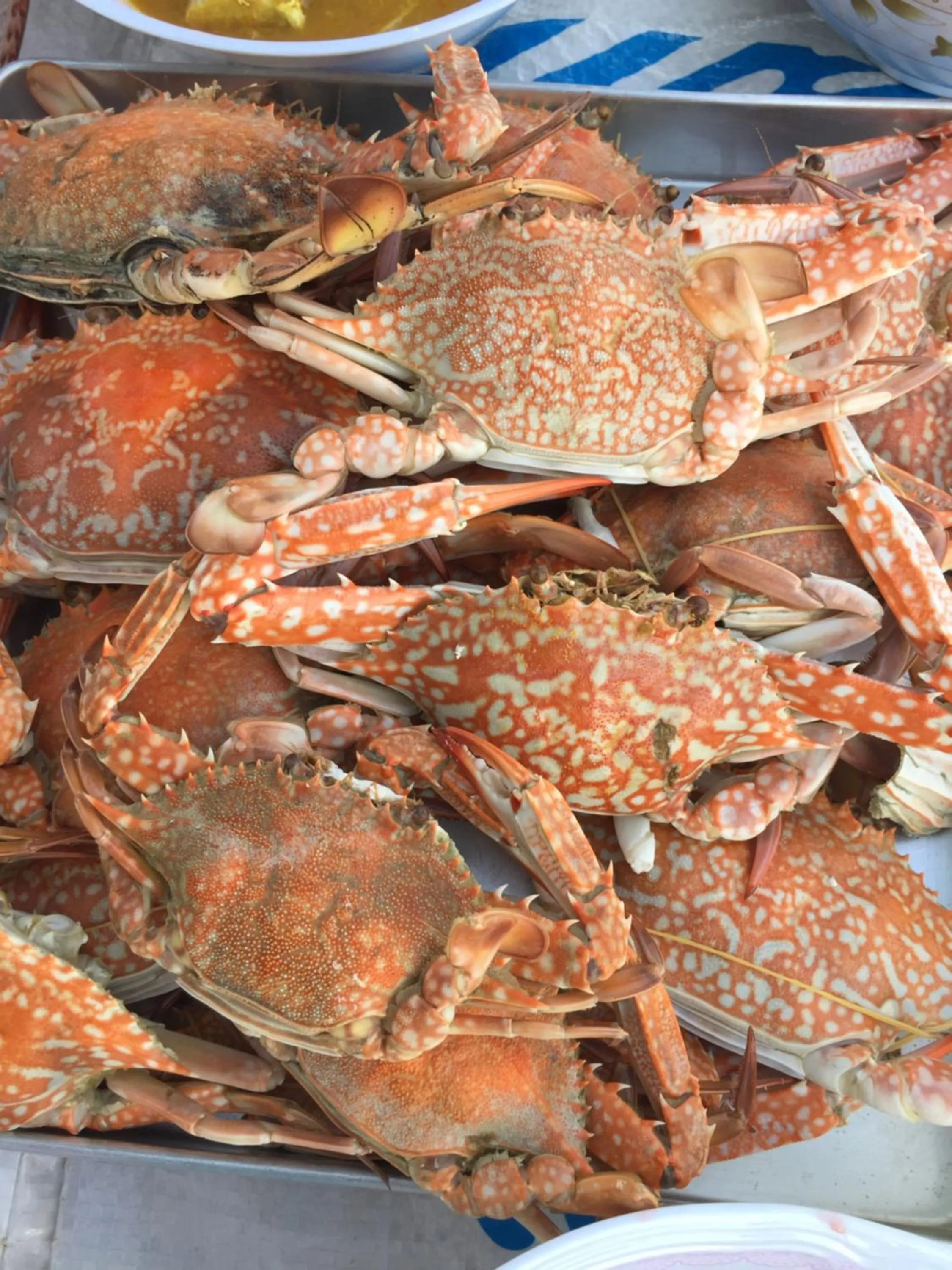 Koh Phaluai Beach Bangalow