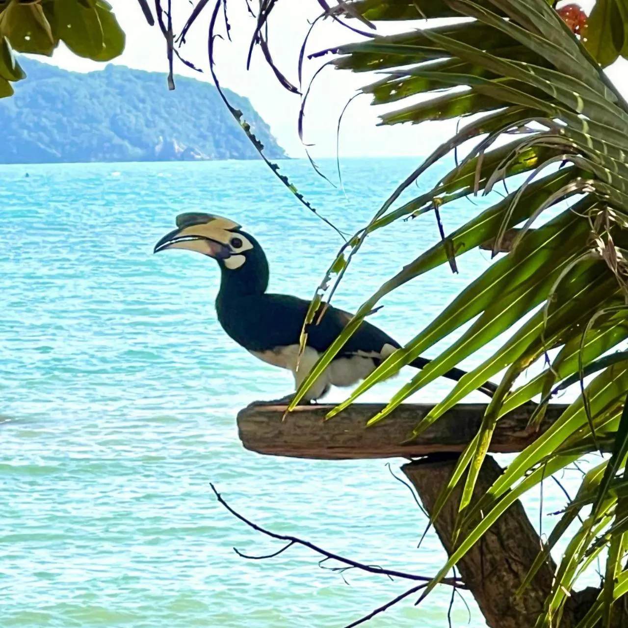 Koh Phaluai Beach Bangalow
