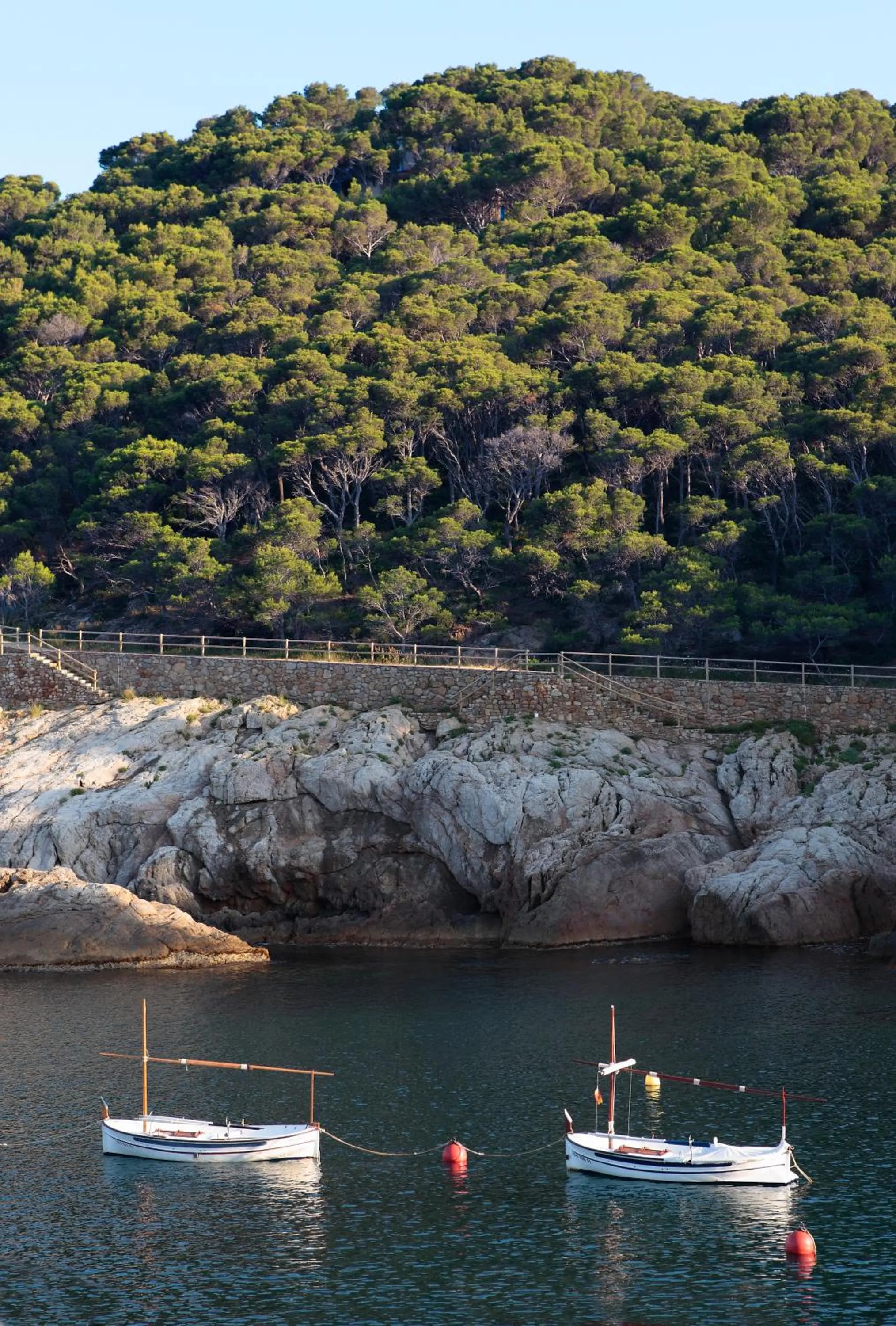 Area and facilities in Hostal Sa Rascassa