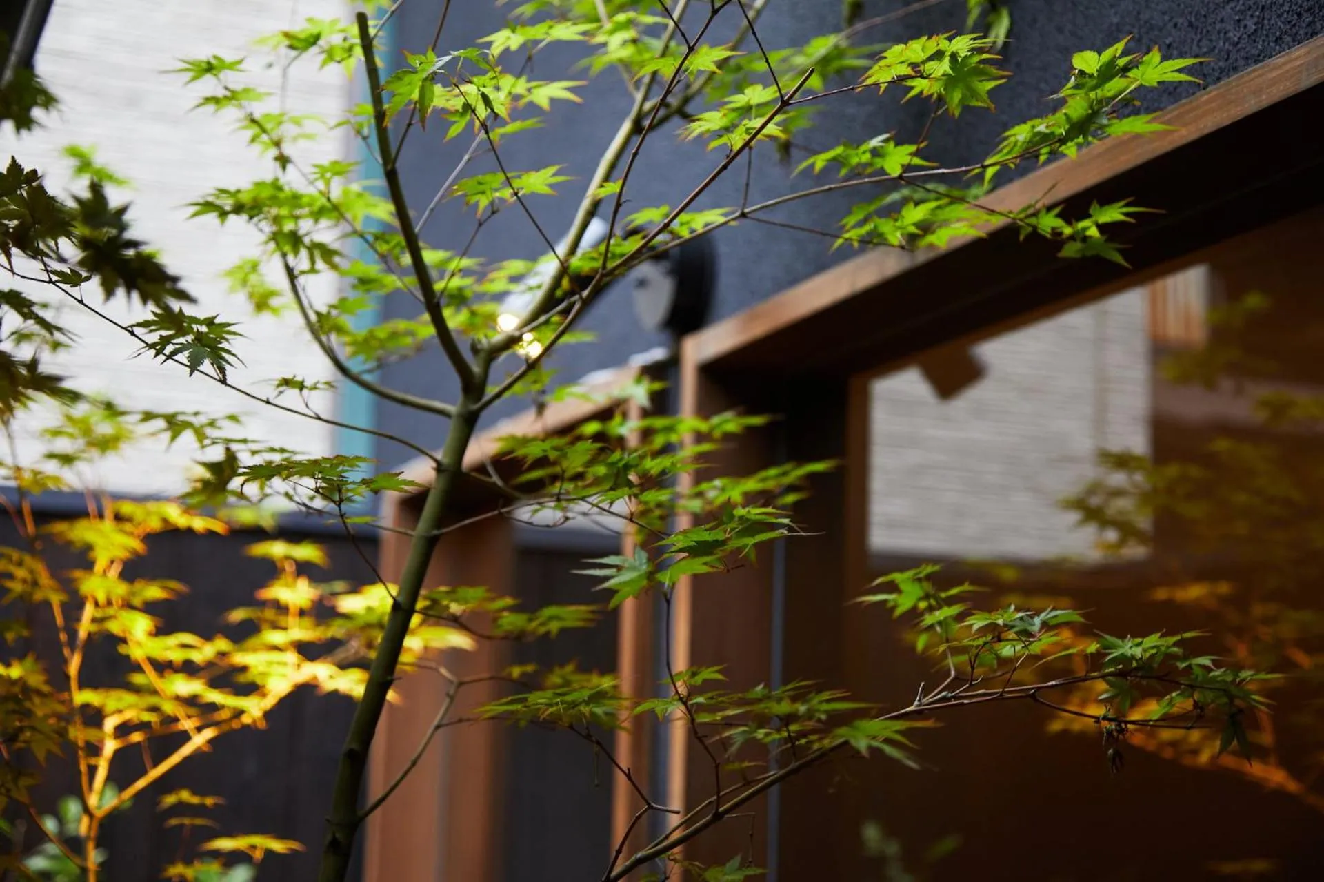 YADORU KYOTO HANARE Kanade No Yado