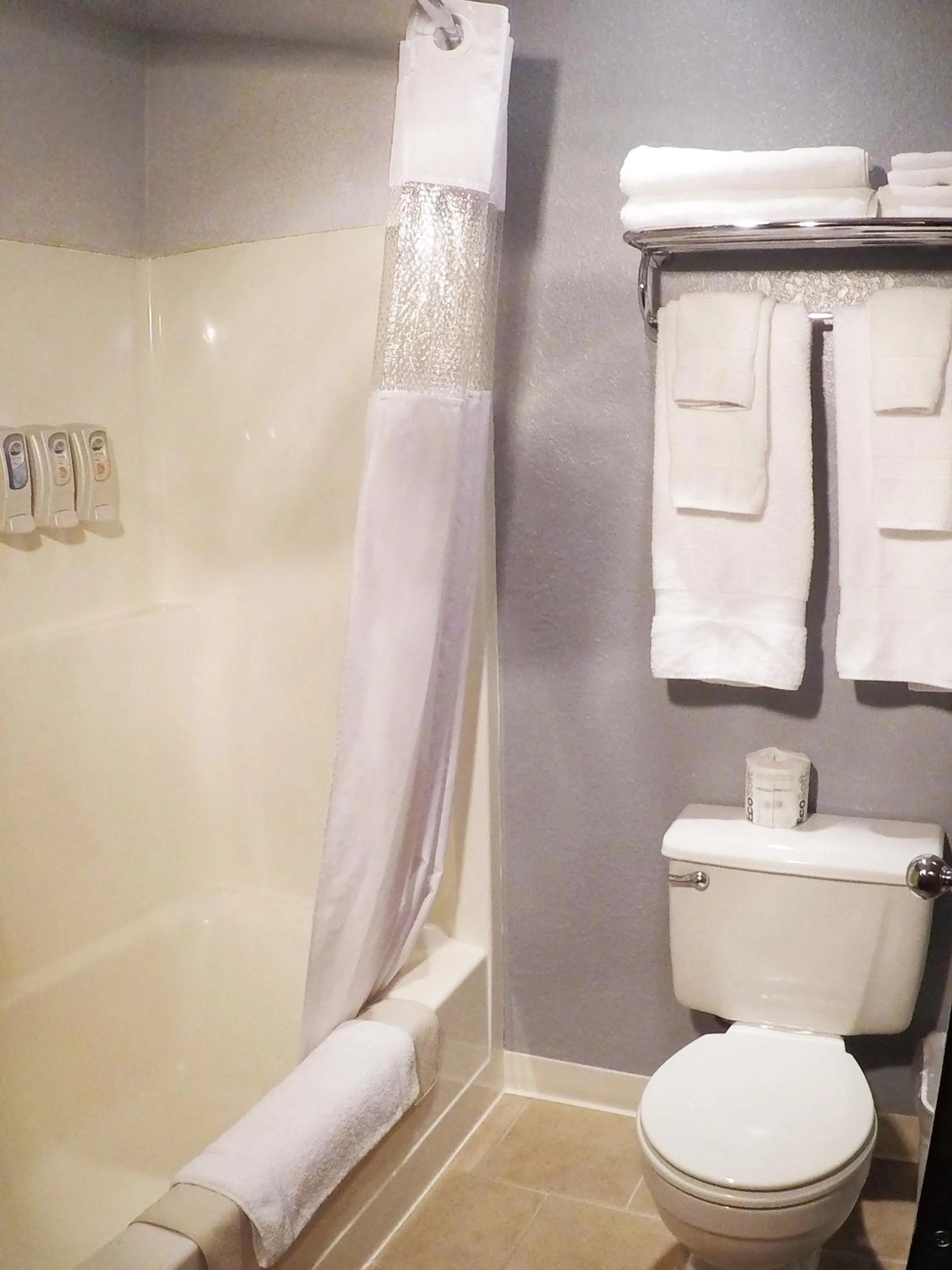 Shower in Mountain View Lodge