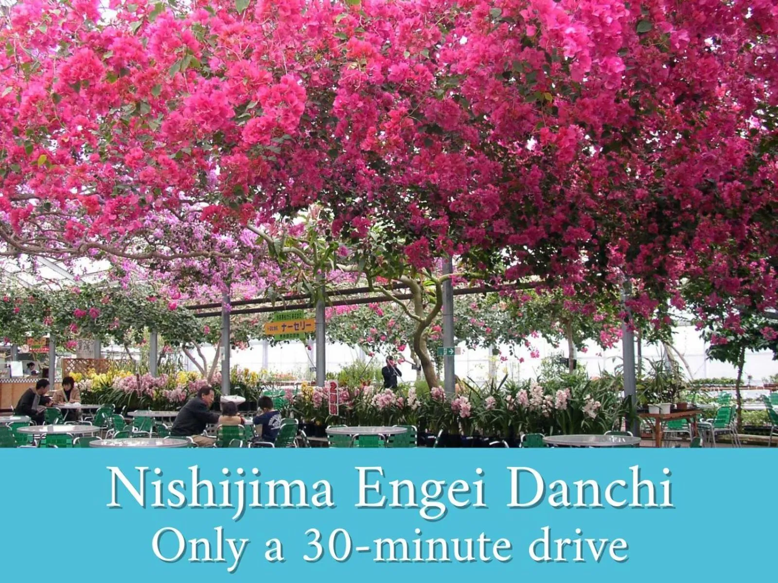 Nearby landmark in Resort Hotel Umibe no Kajuen