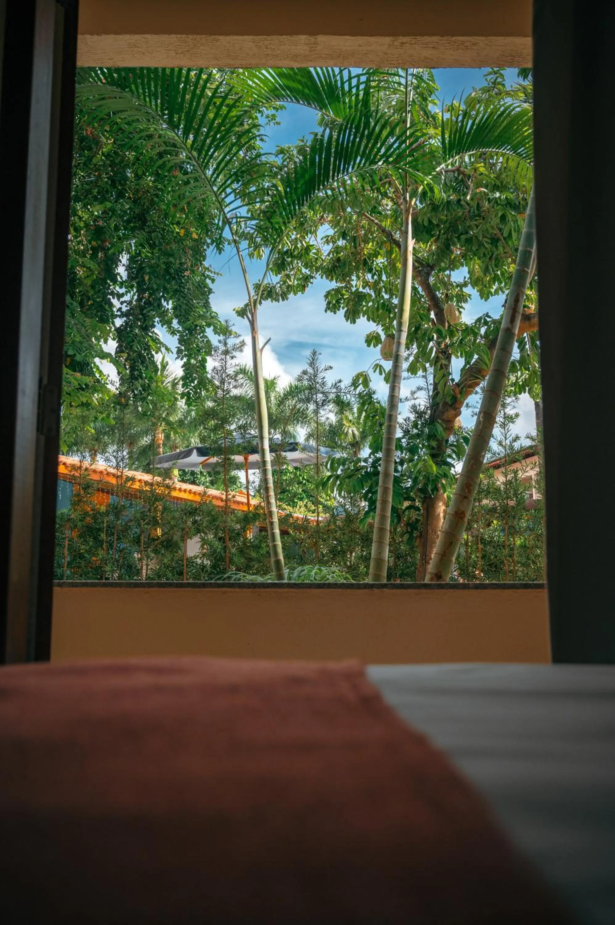 Ayla Praia Hotel Centro Porto Segur