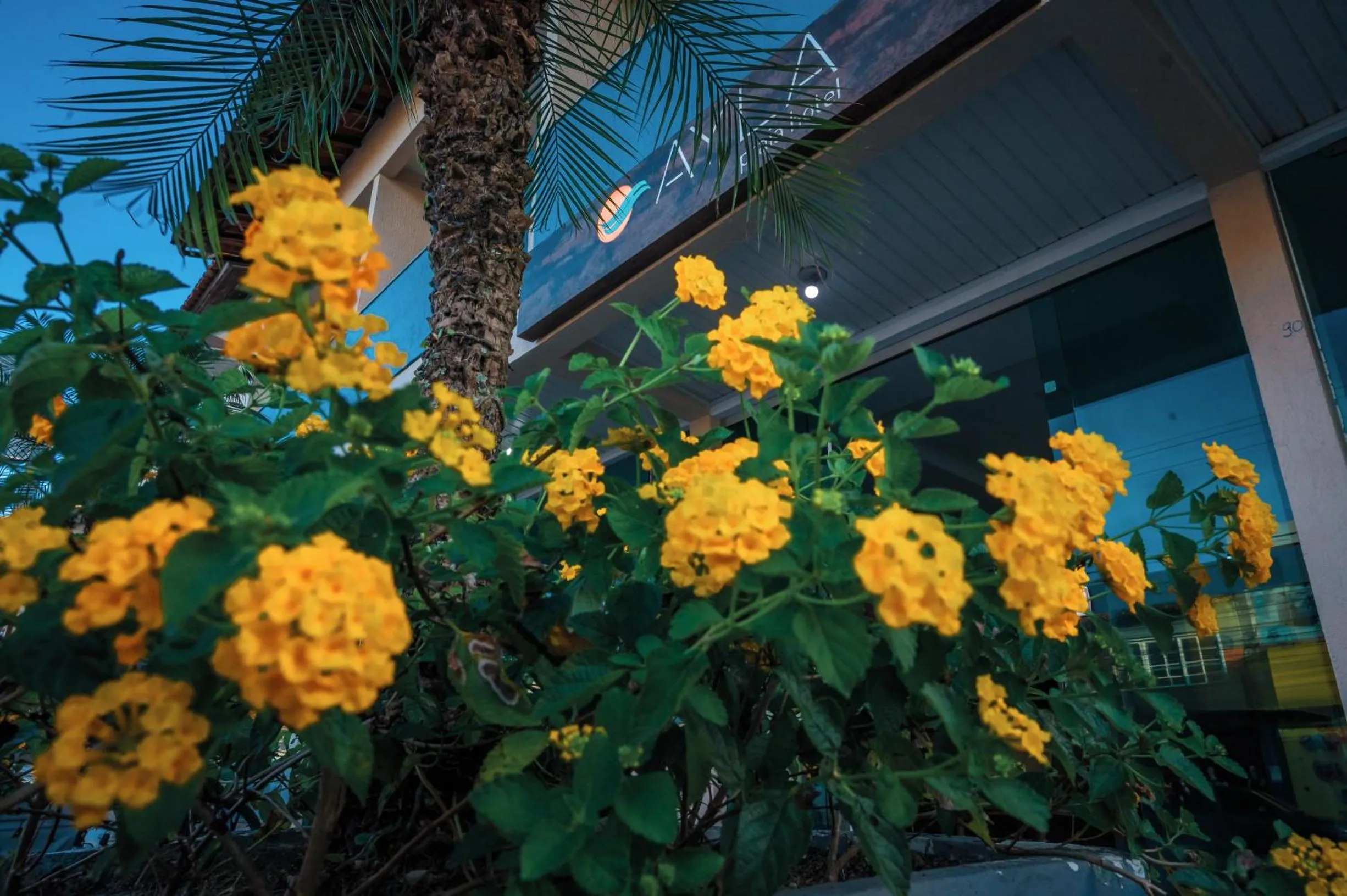 Ayla Praia Hotel Centro Porto Segur