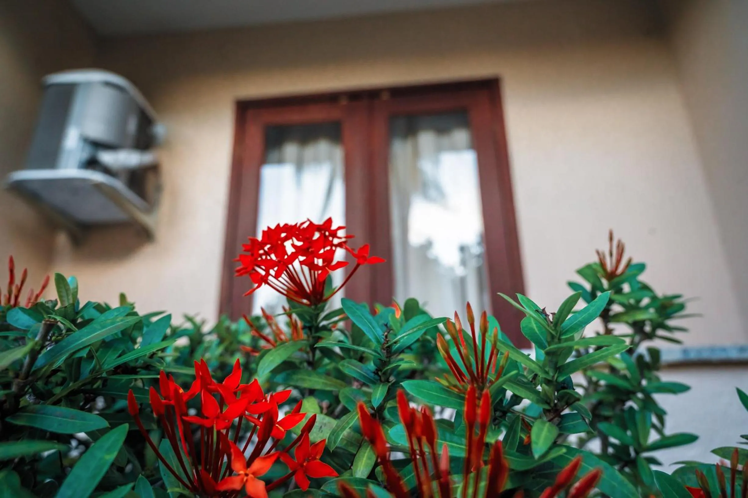 Ayla Praia Hotel Centro Porto Segur