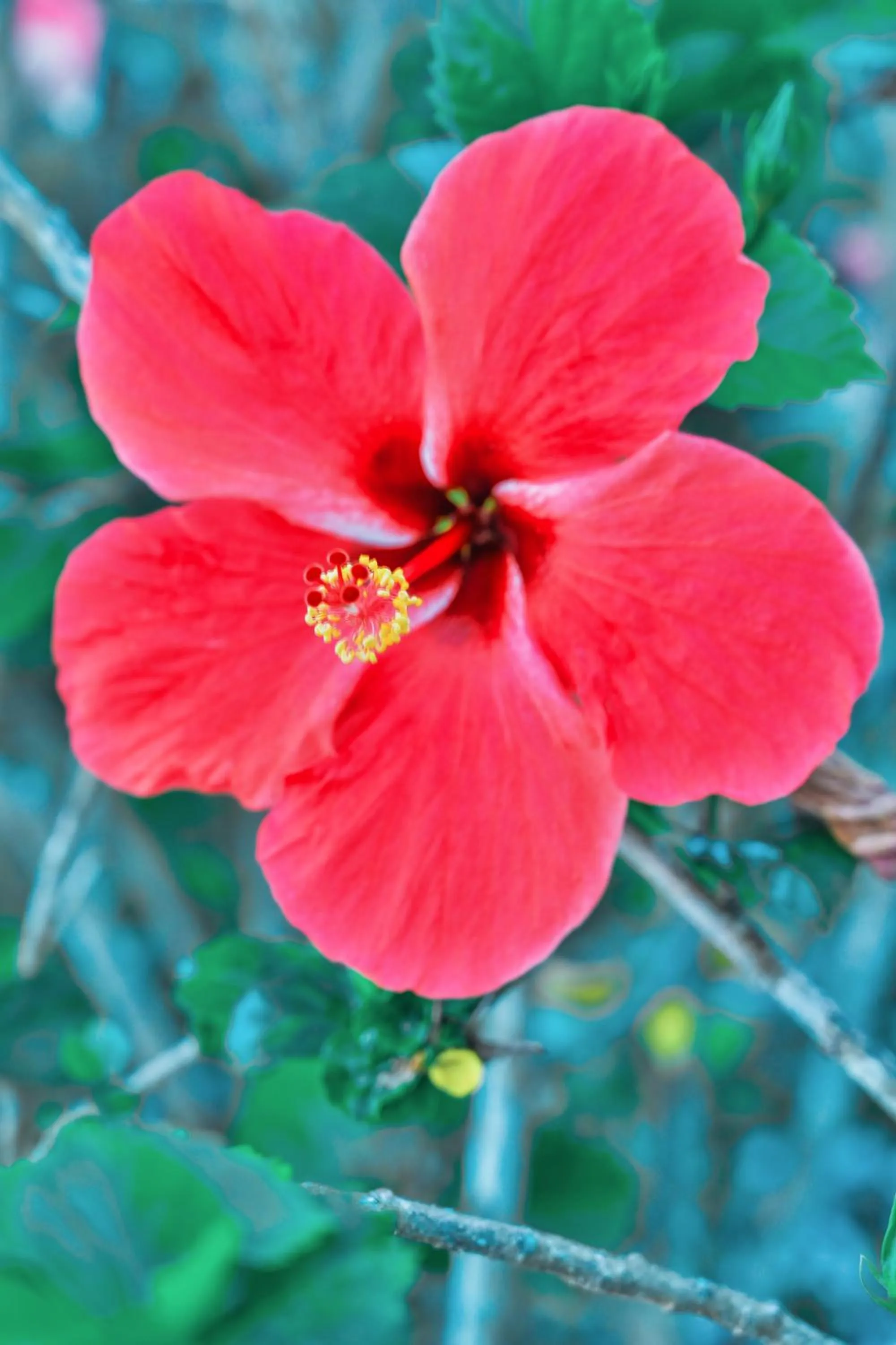 Ayla Praia Hotel Centro Porto Segur