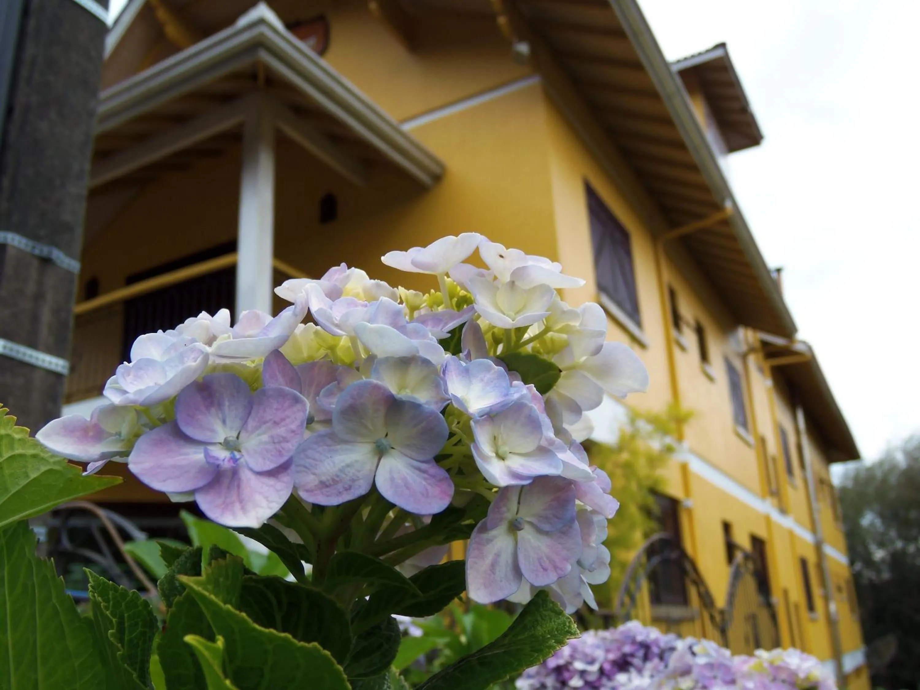 Garden in Pousada Borô